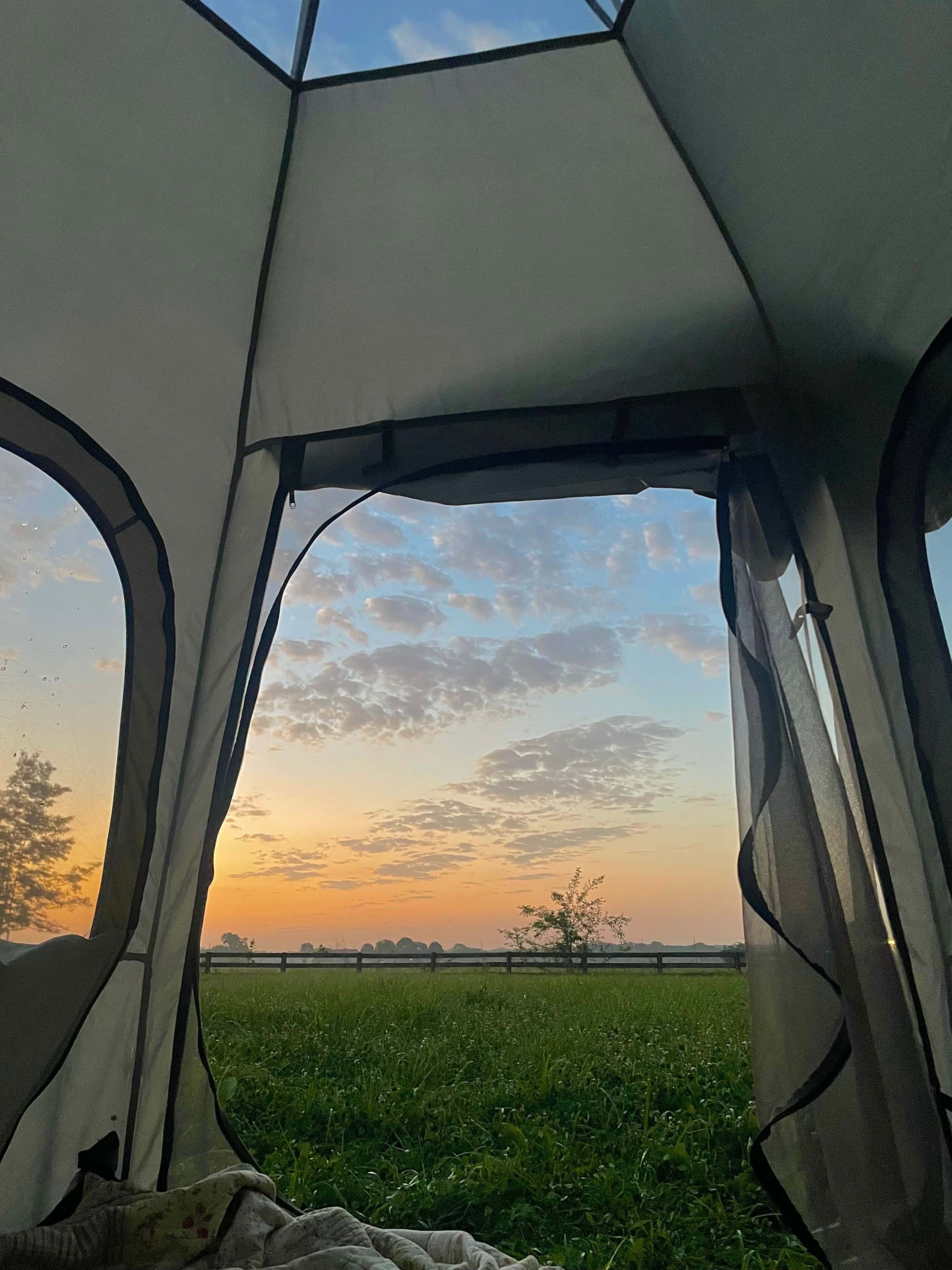 Camping with Unruly Goats