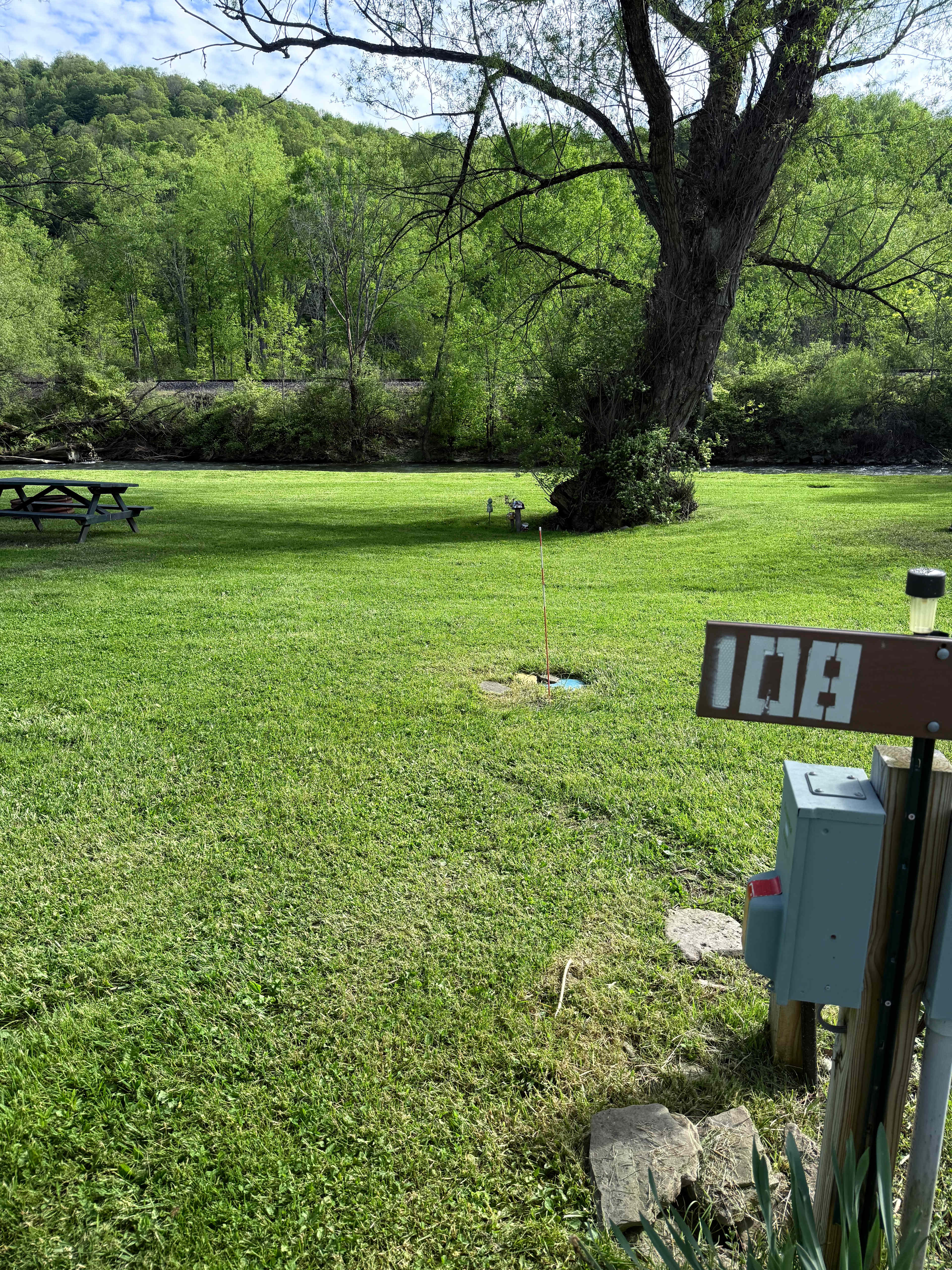 Picture of the site