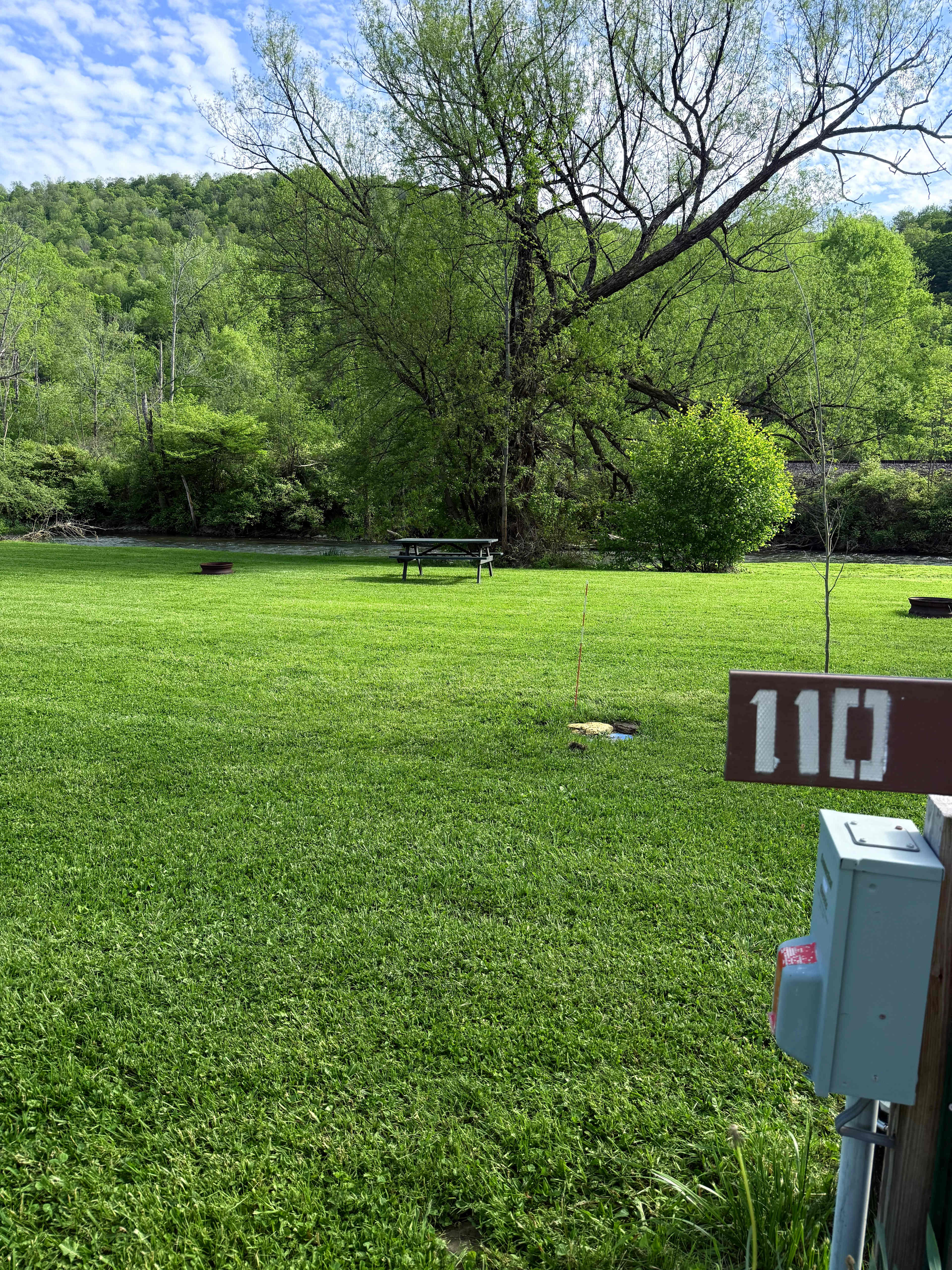 Picture of the site
