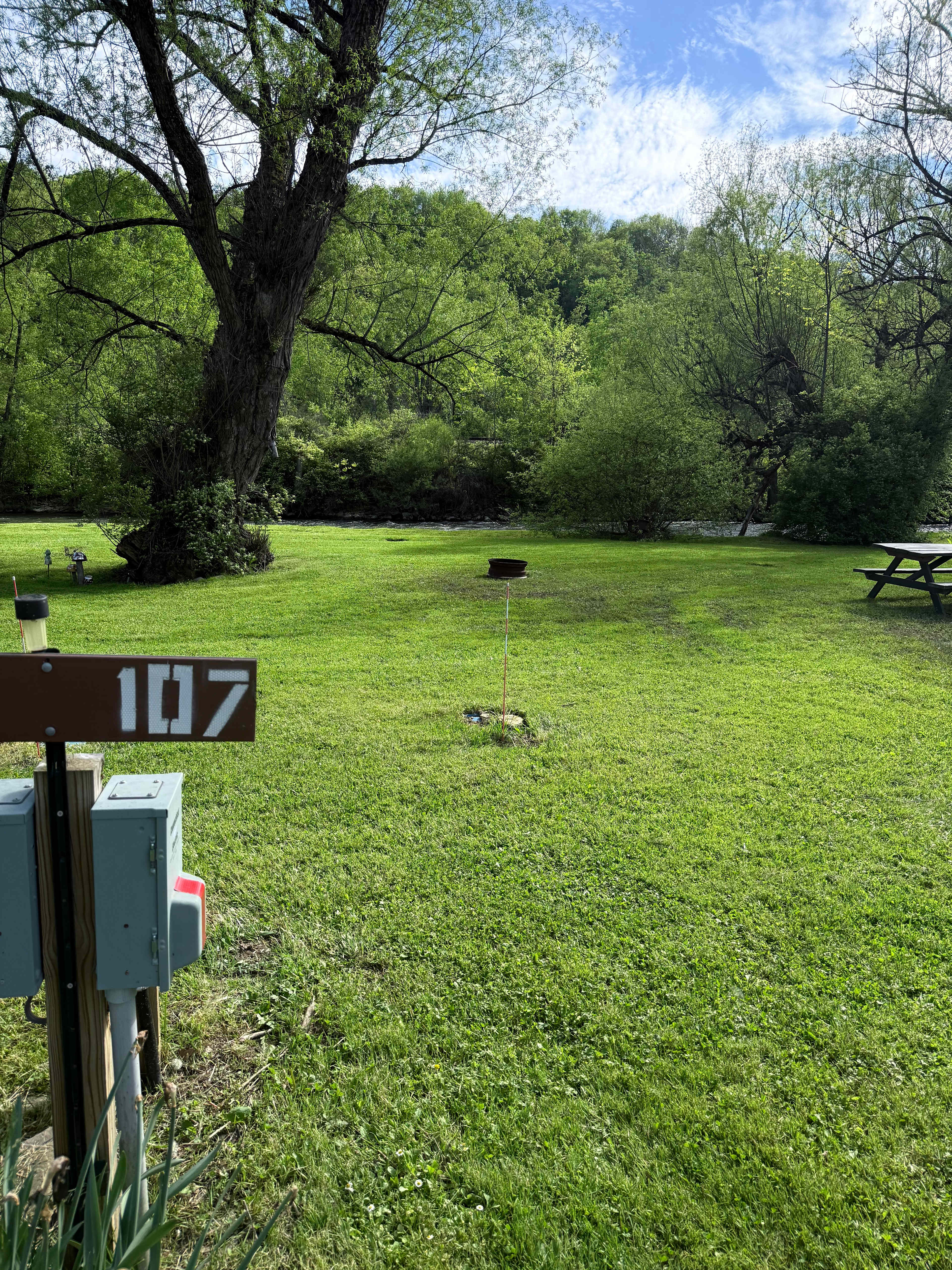 Picture of the site