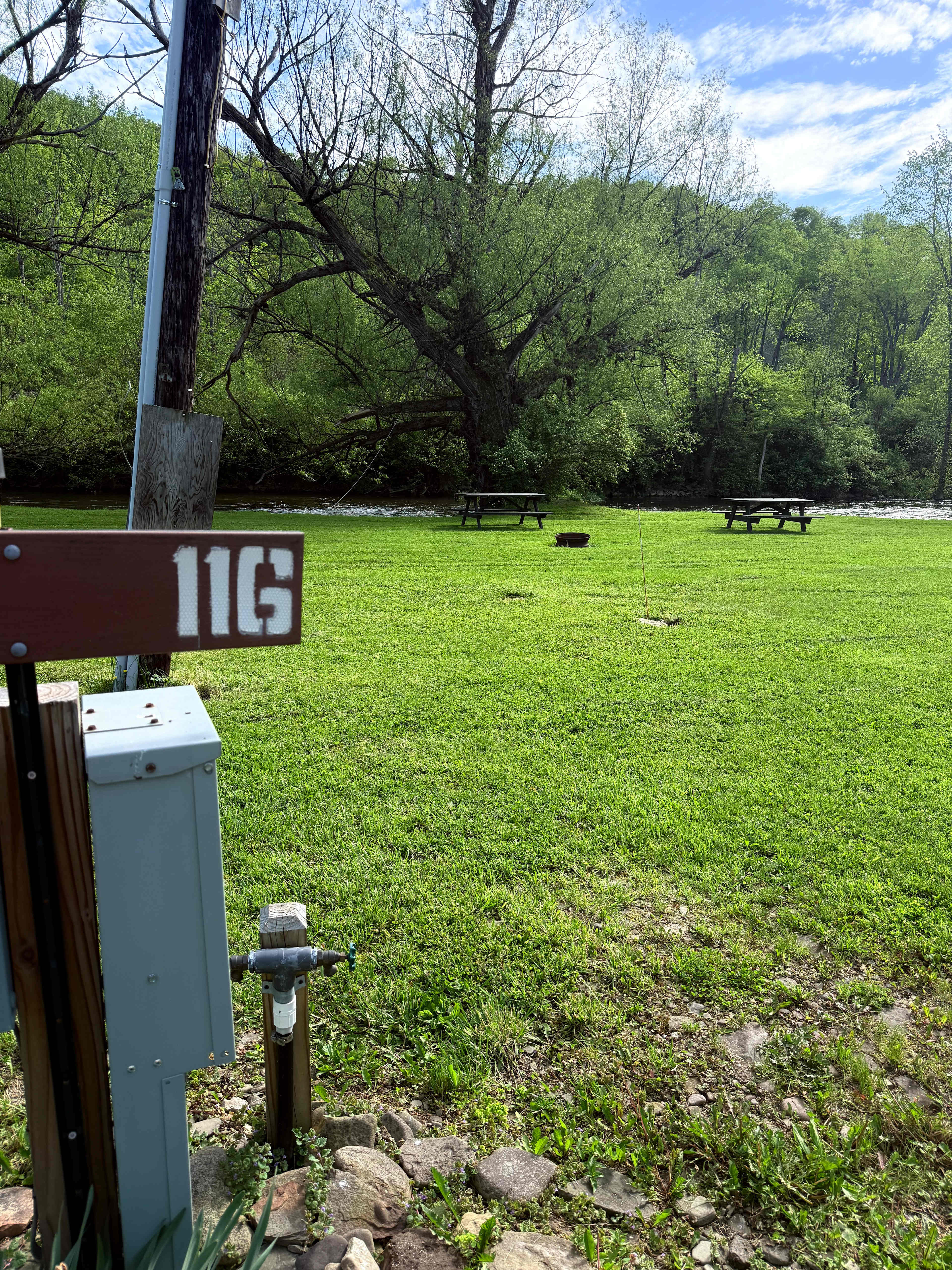 Picture of the site
