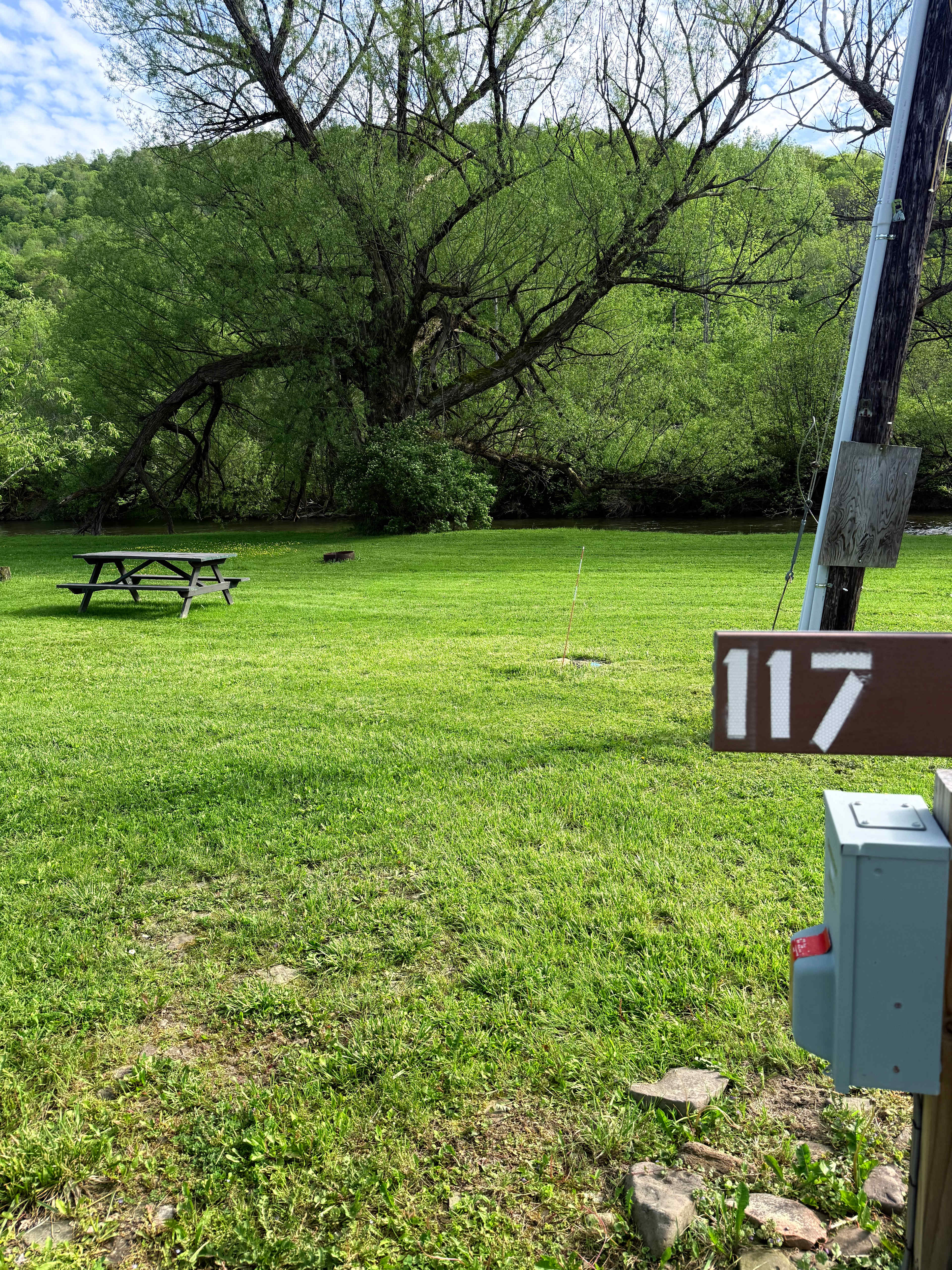 Picture of the site