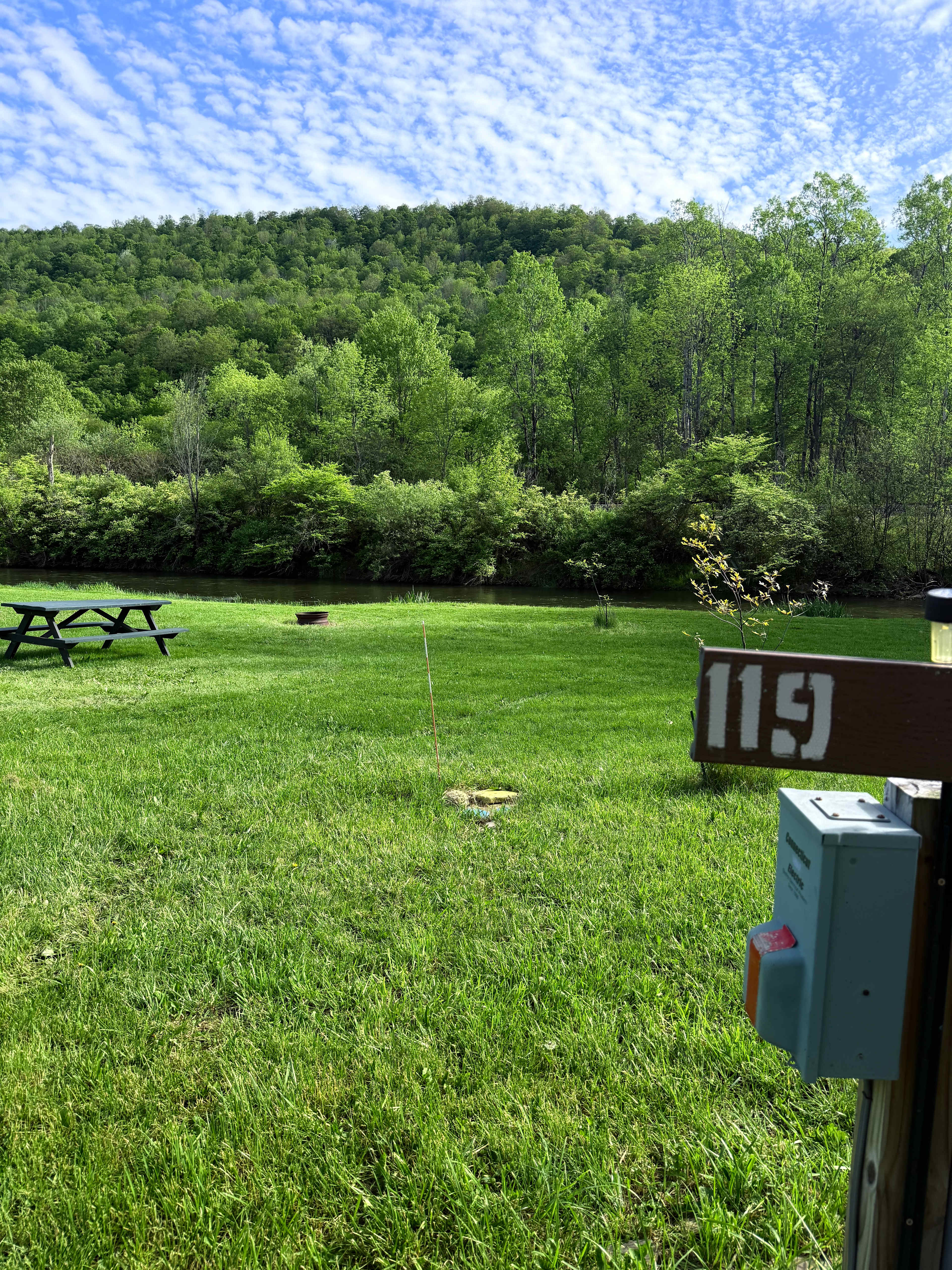 Picture of the site