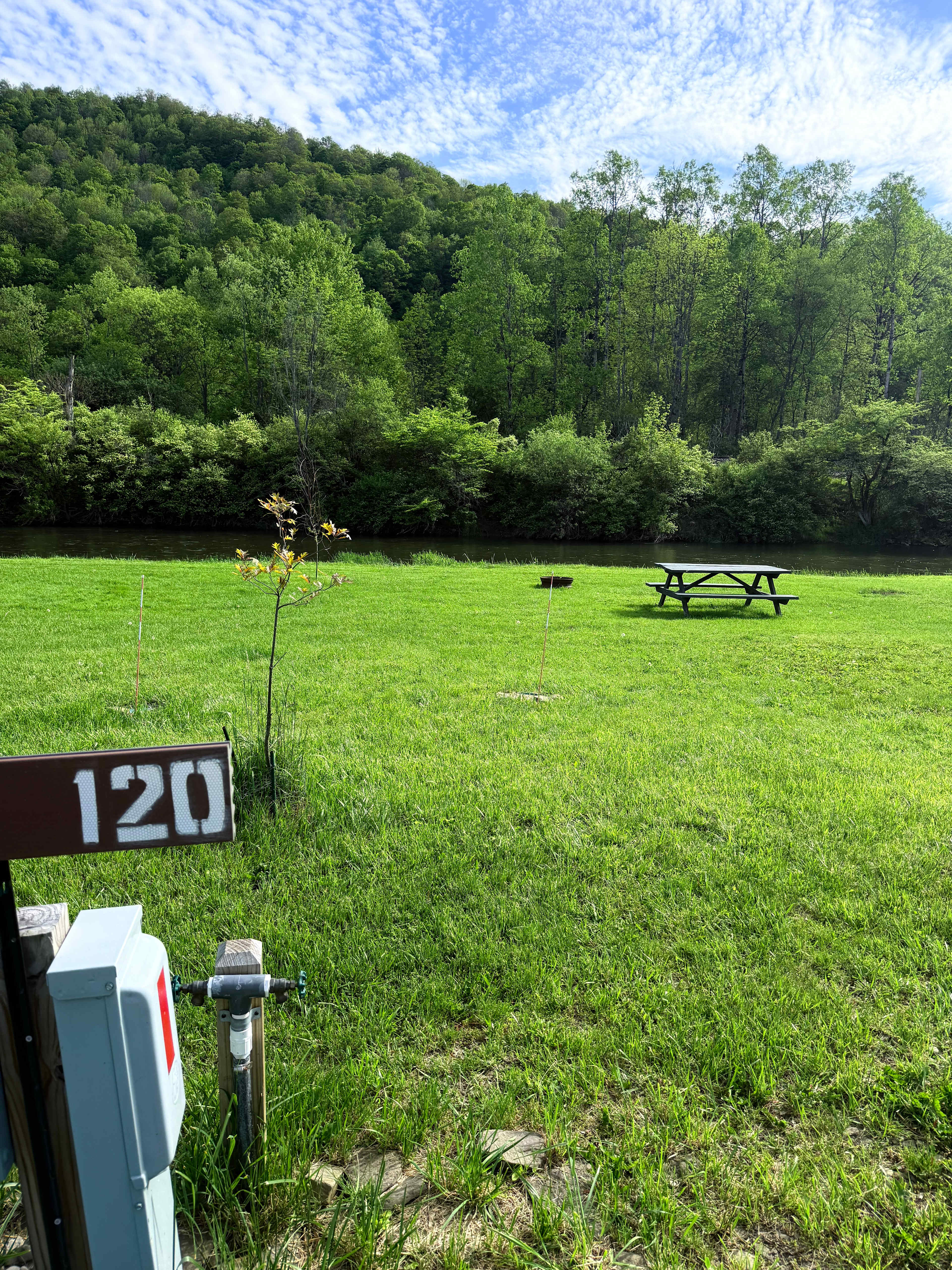 Picture of the site