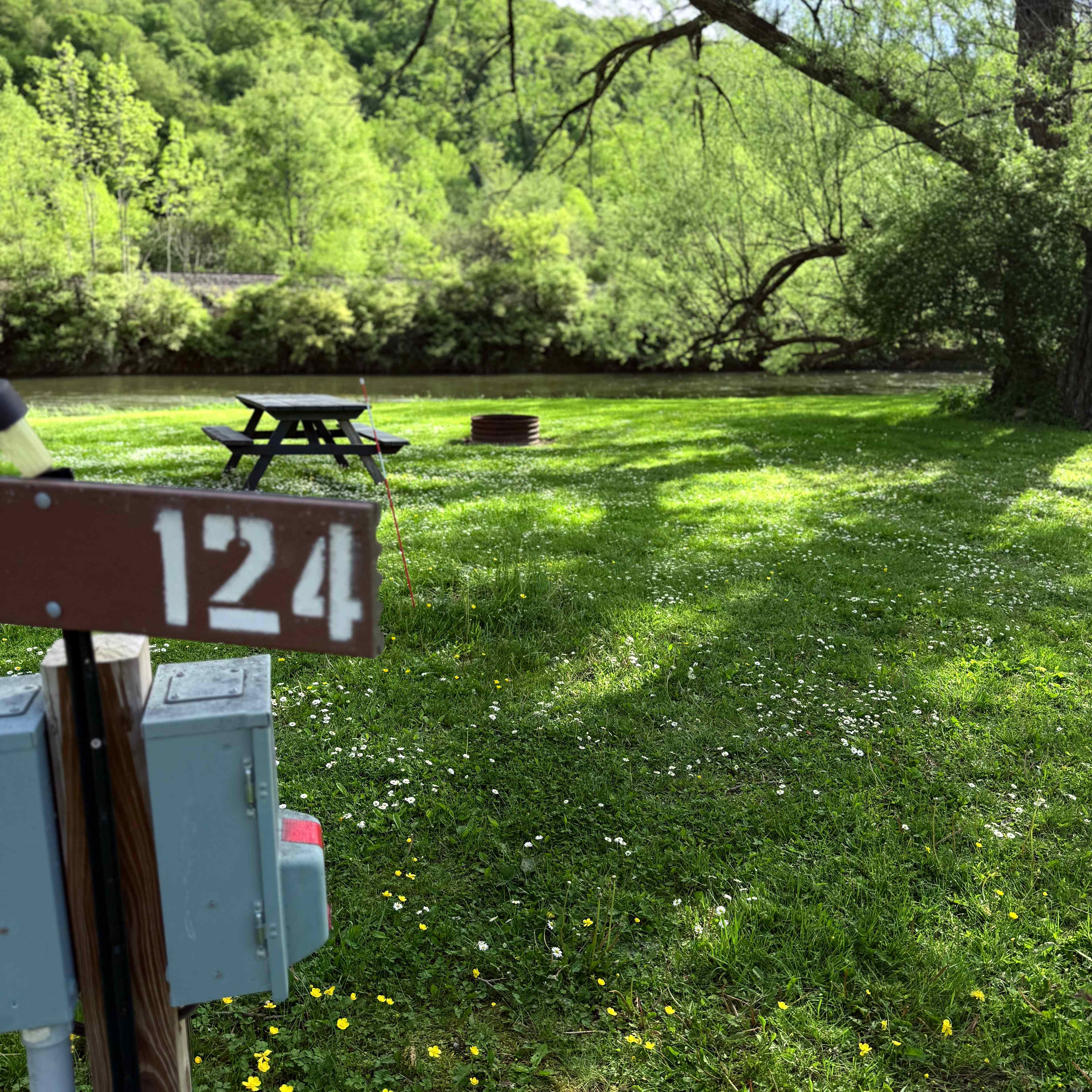 Picture of the site