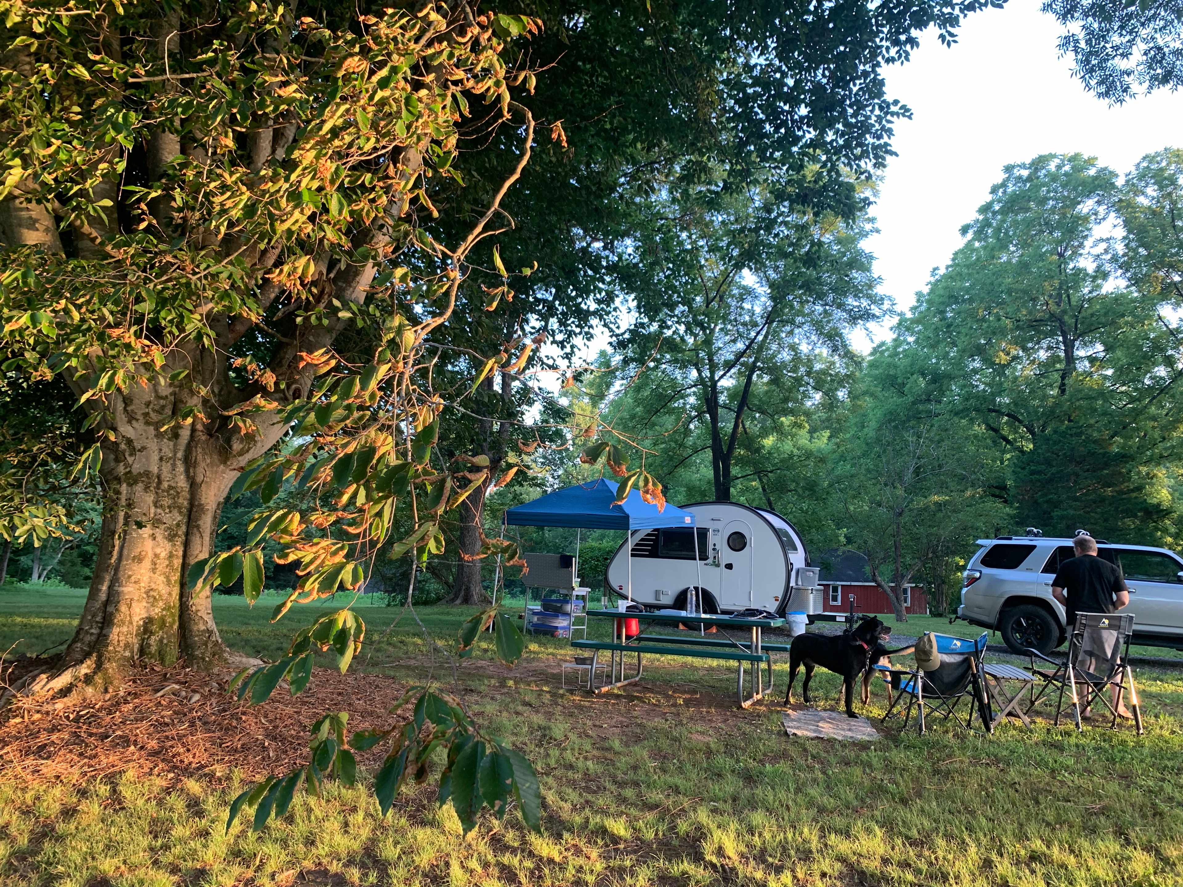 Bent Creek Farm