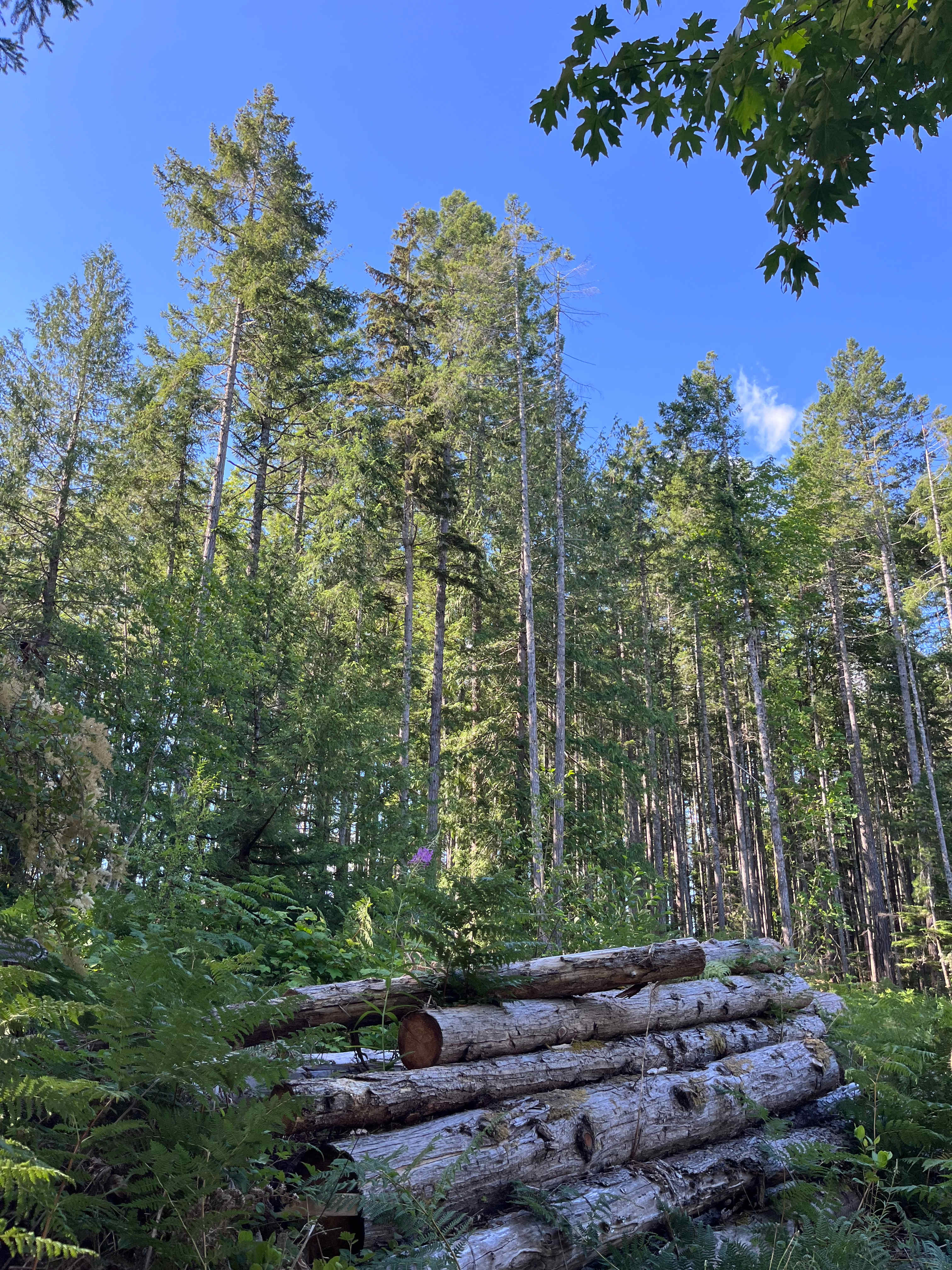 Our view with our morning coffee