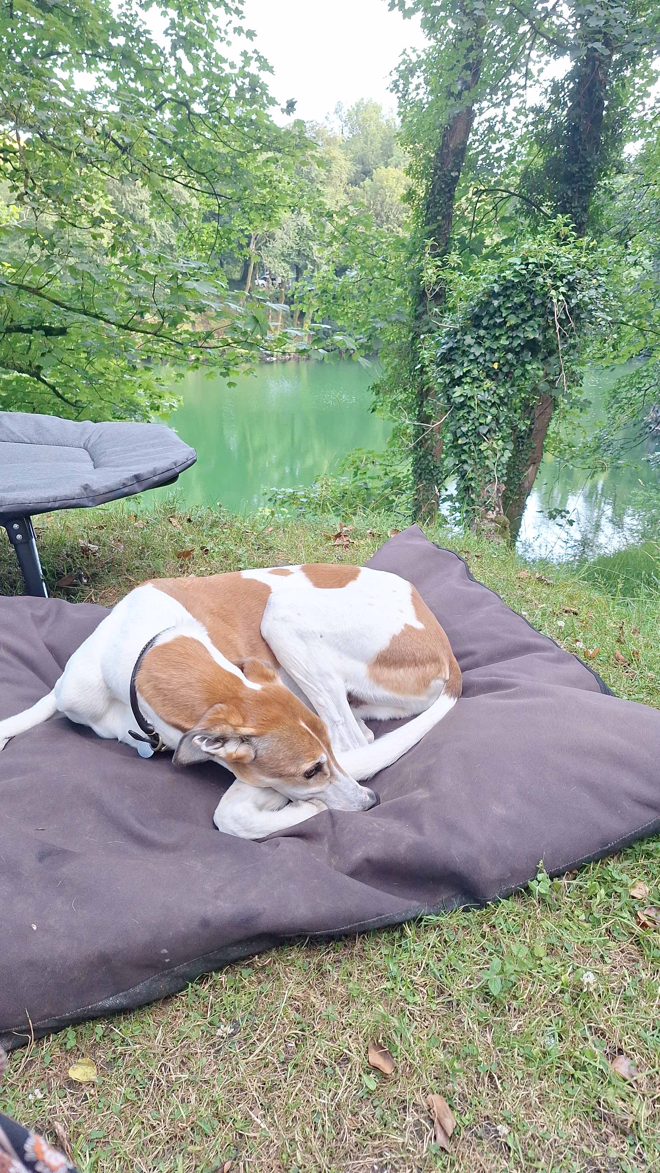 Meldon Lake and Woods Wild Camping