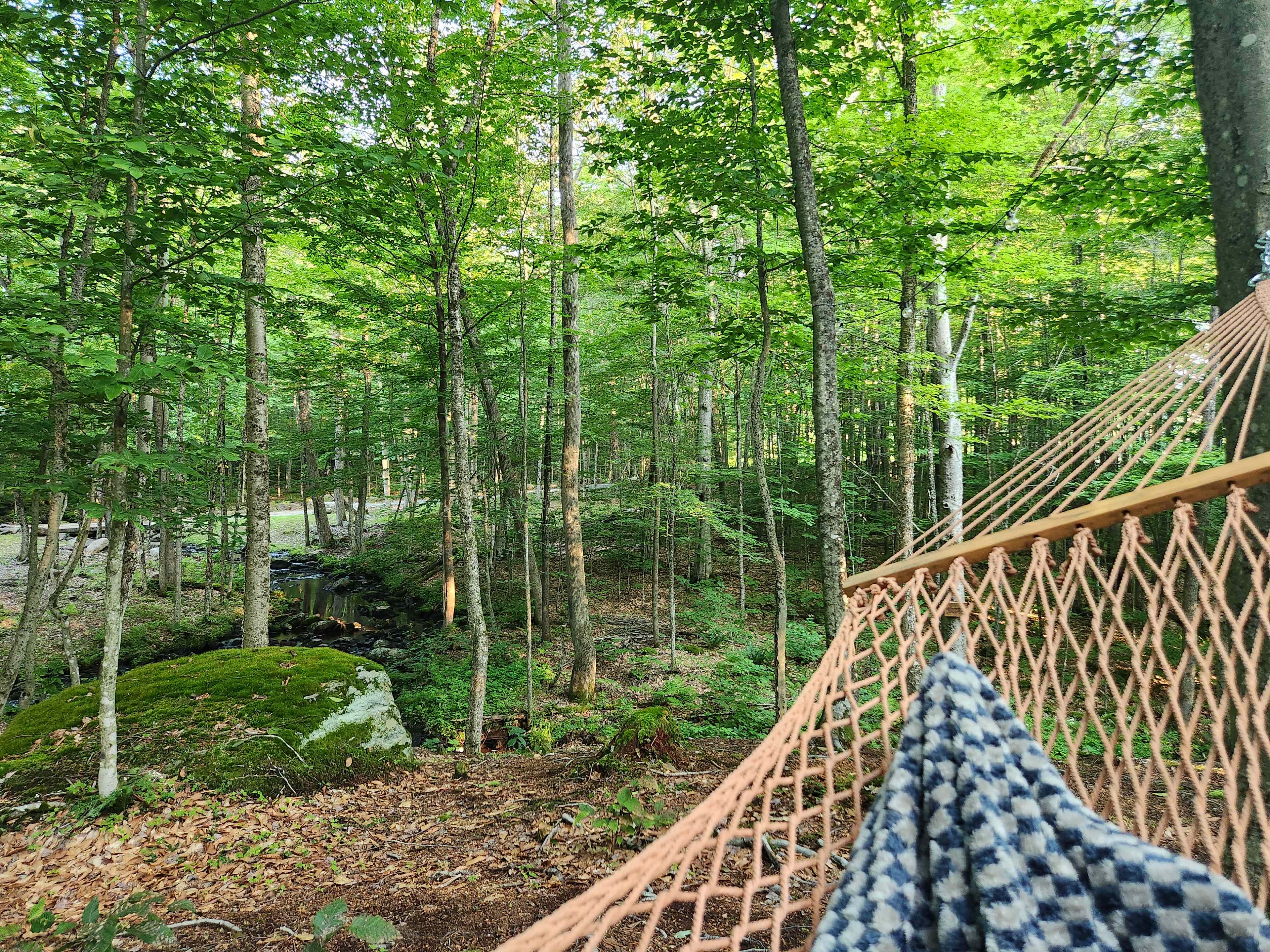 Secluded Glamping in the Woods