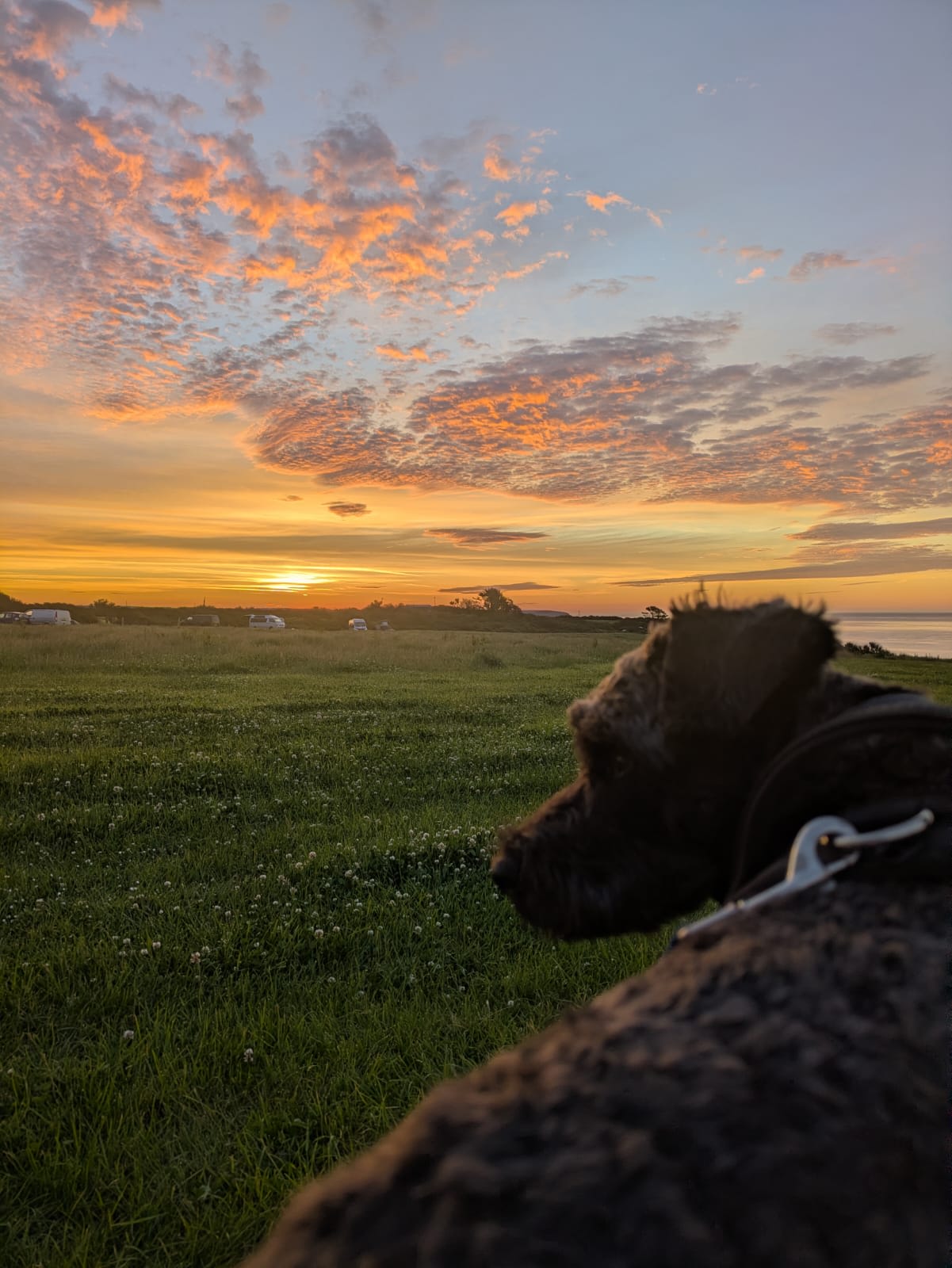 Summer solstice sunrise