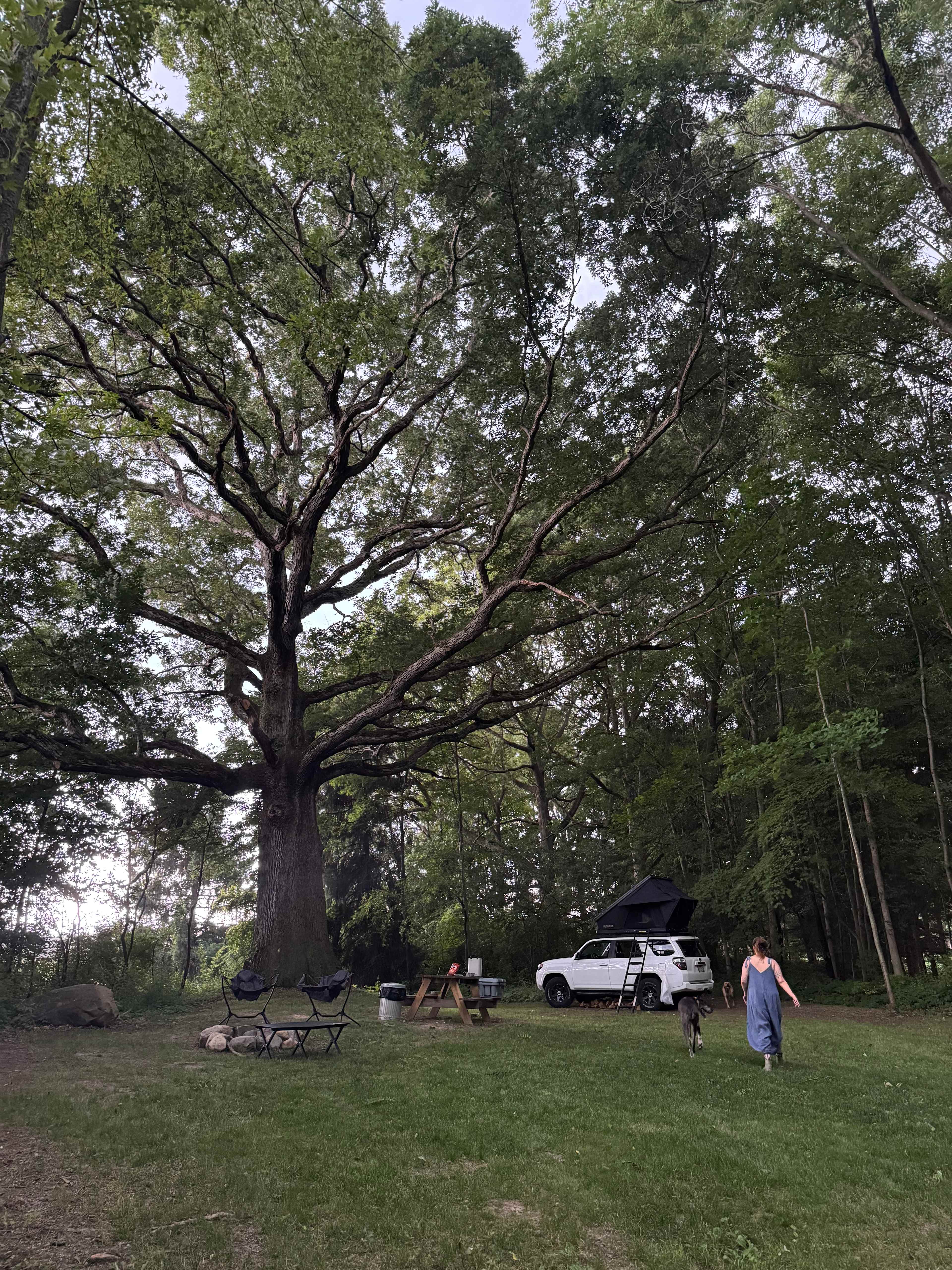 Boone Farm & Forest
