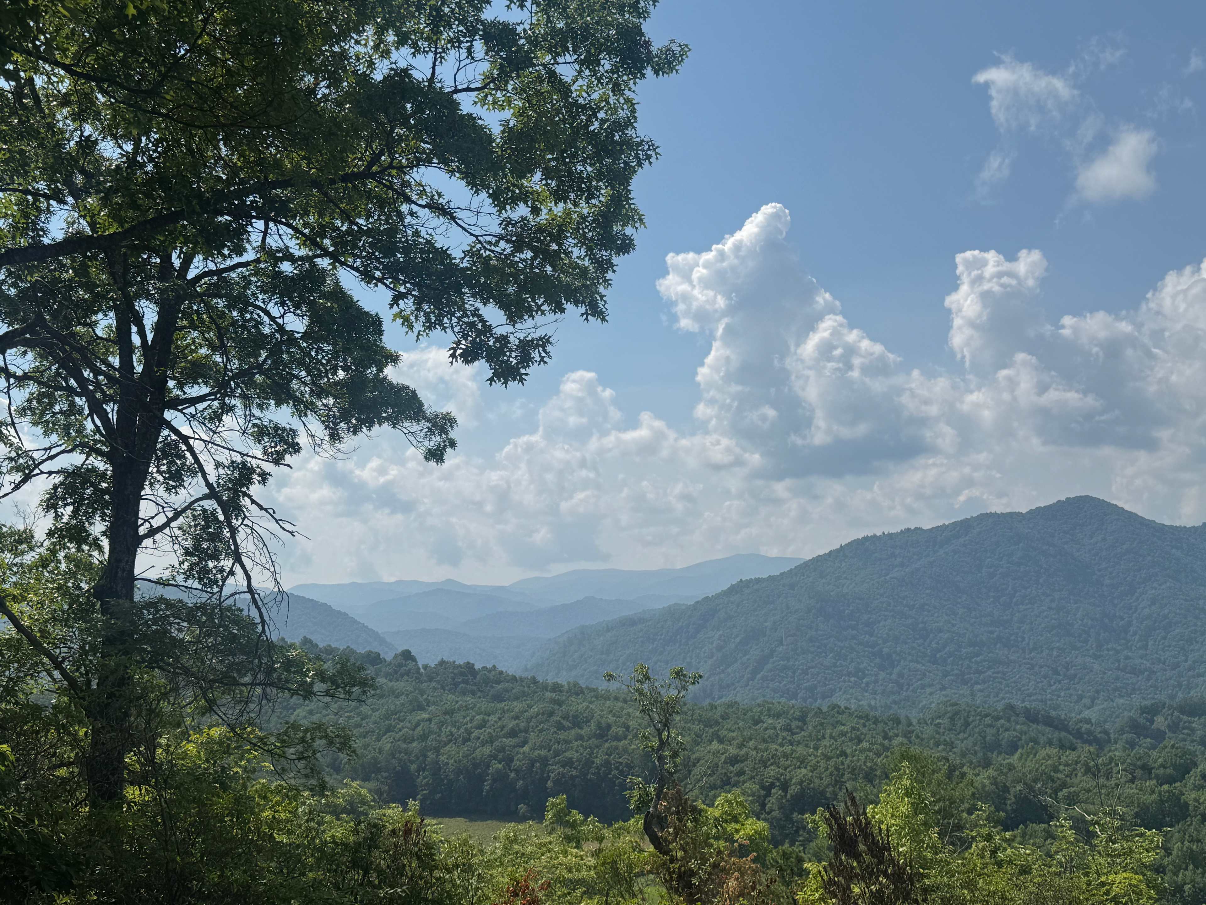 Private Panoramic Dark Sky Ridge