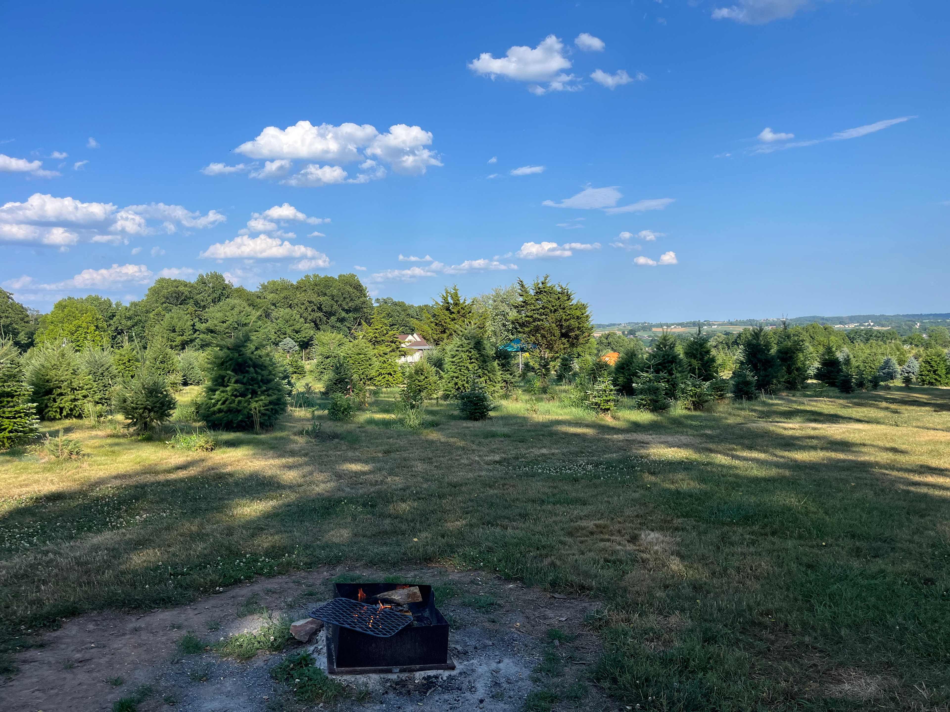 Christmas Tree Farm with Views