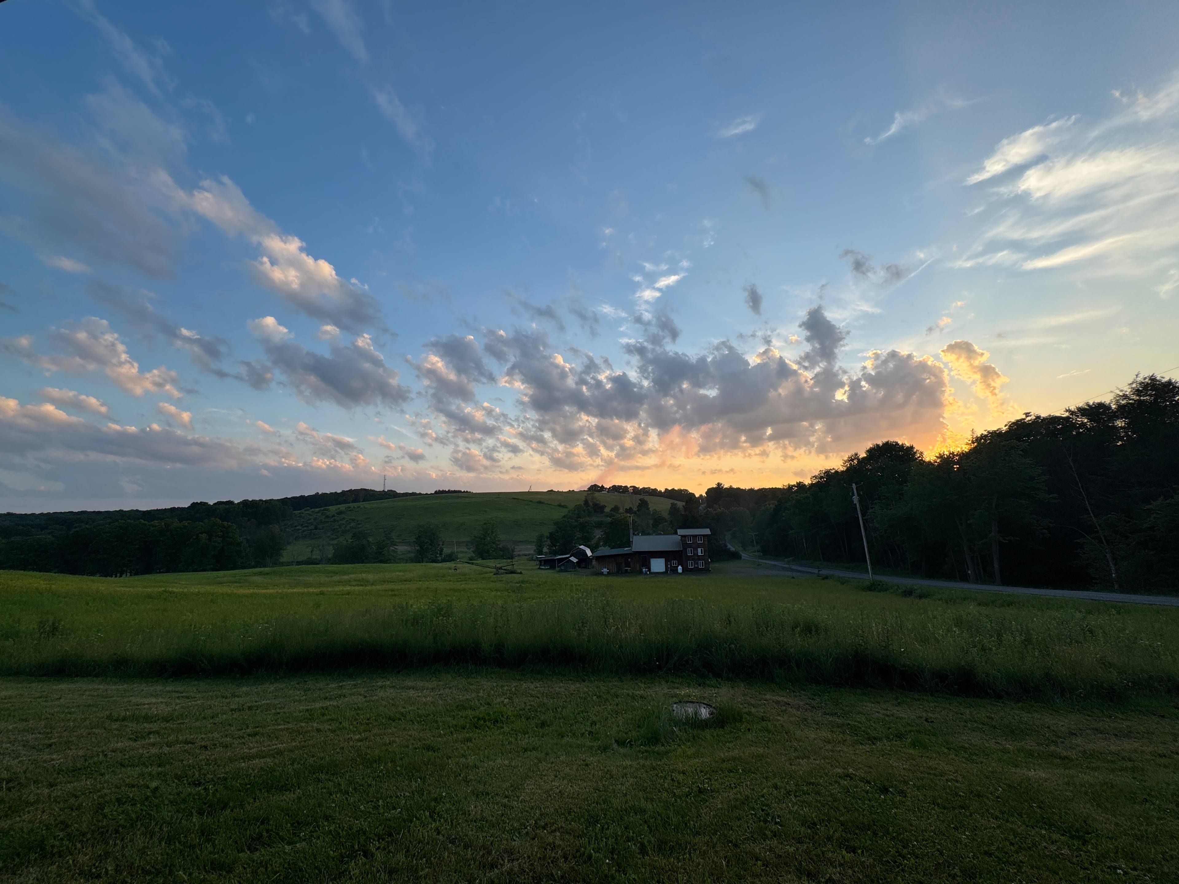 Firefly field