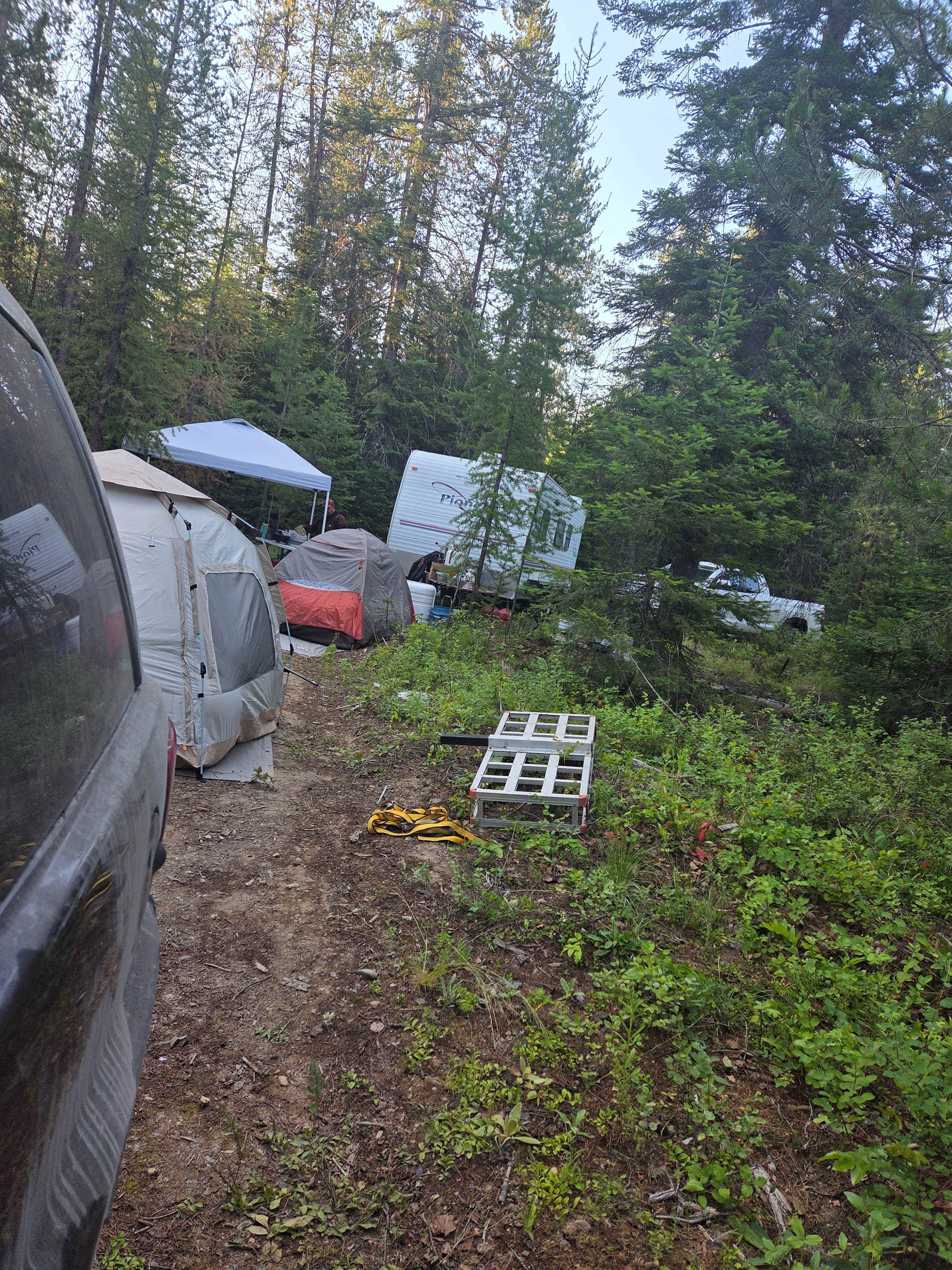 Huckleberry haven