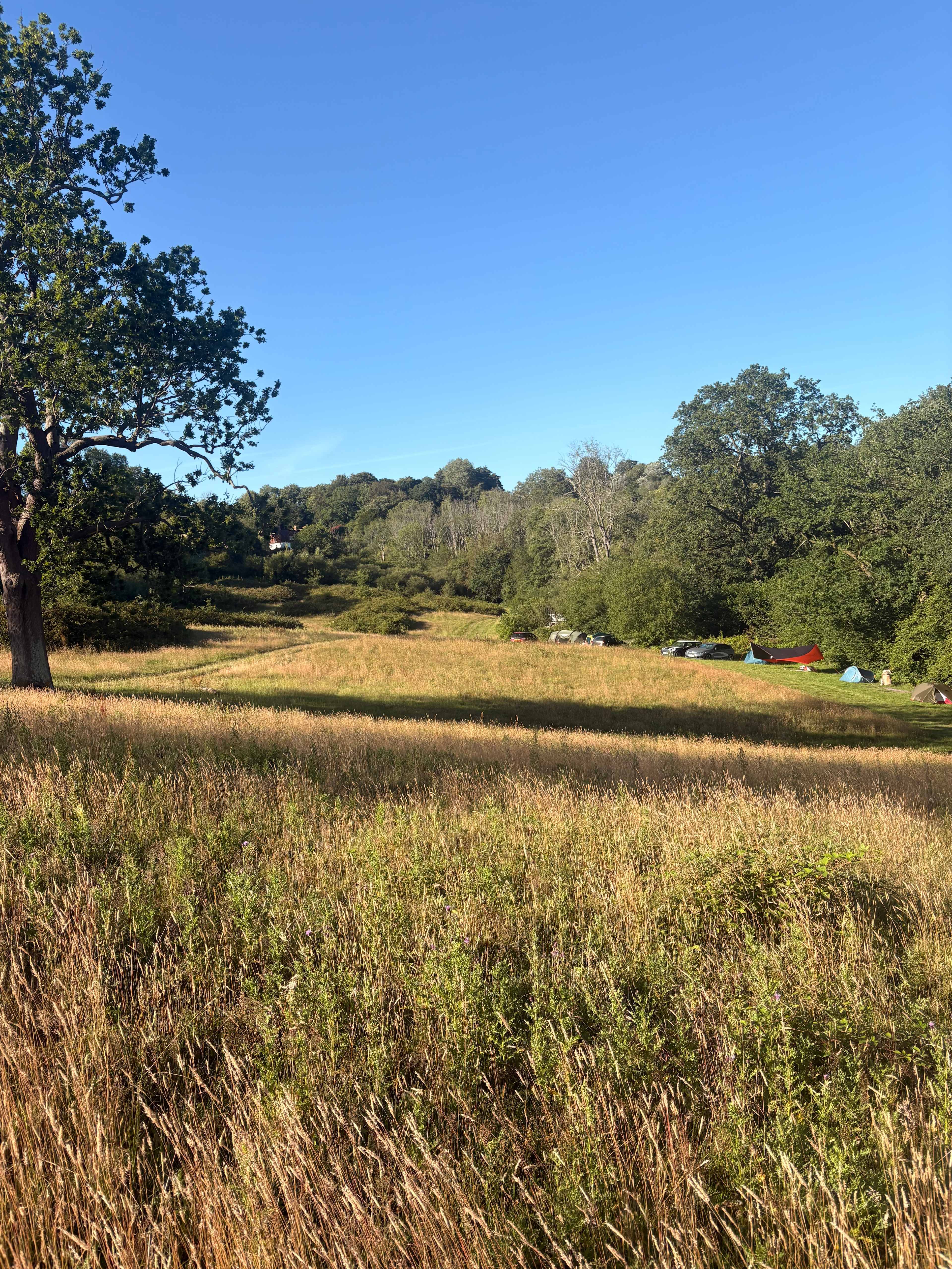 Hook Farm Campsite