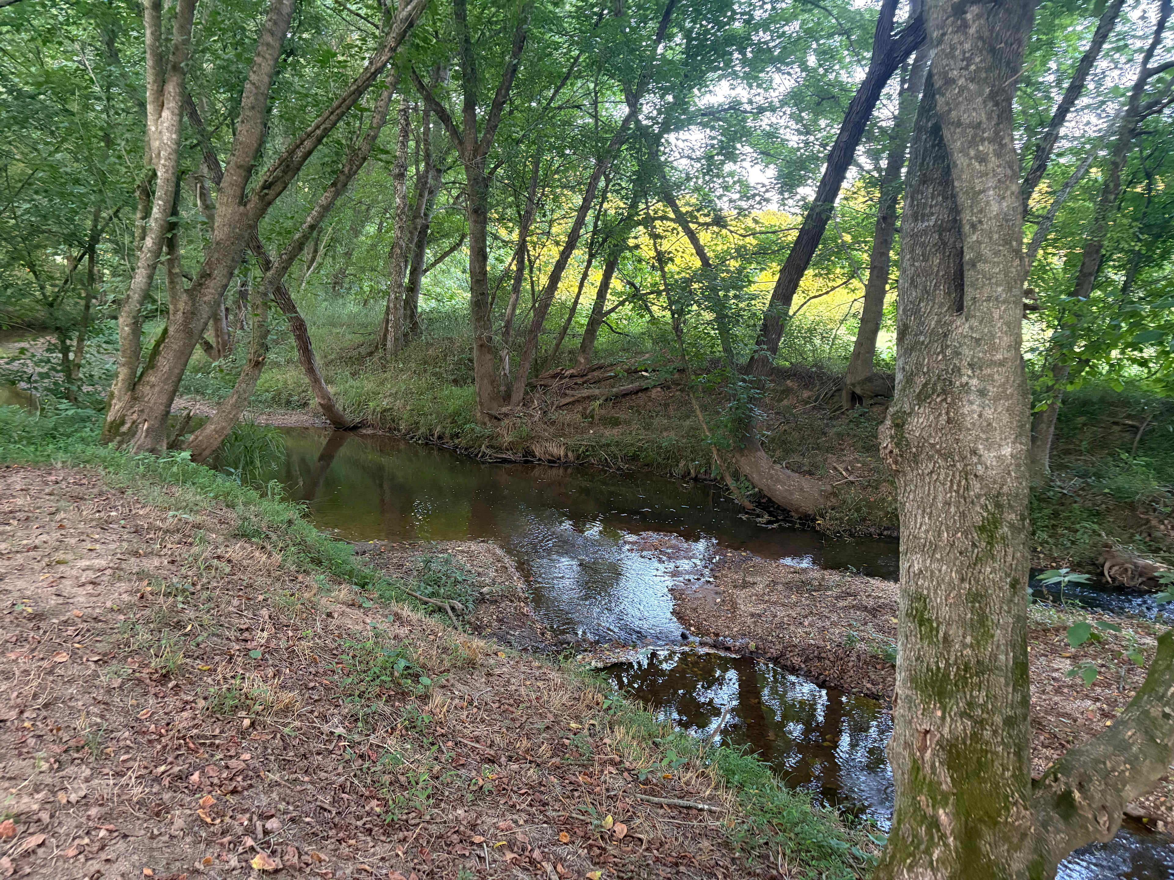 Creek 