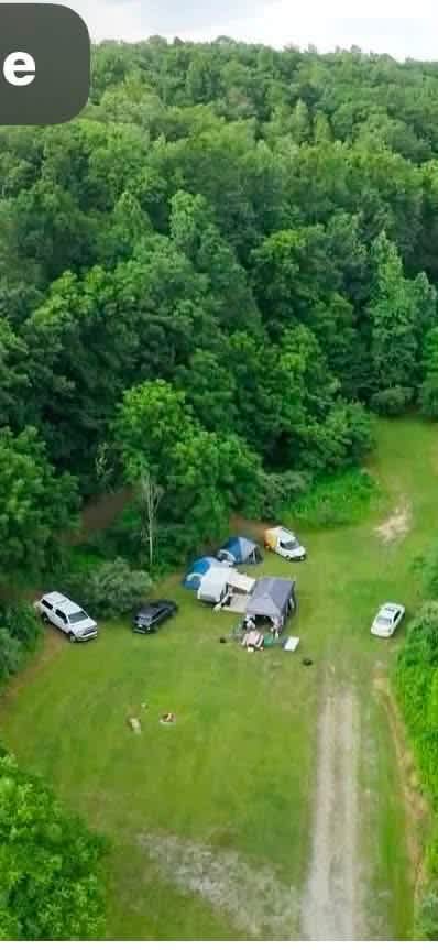 Wilson’s Boondock Hollow