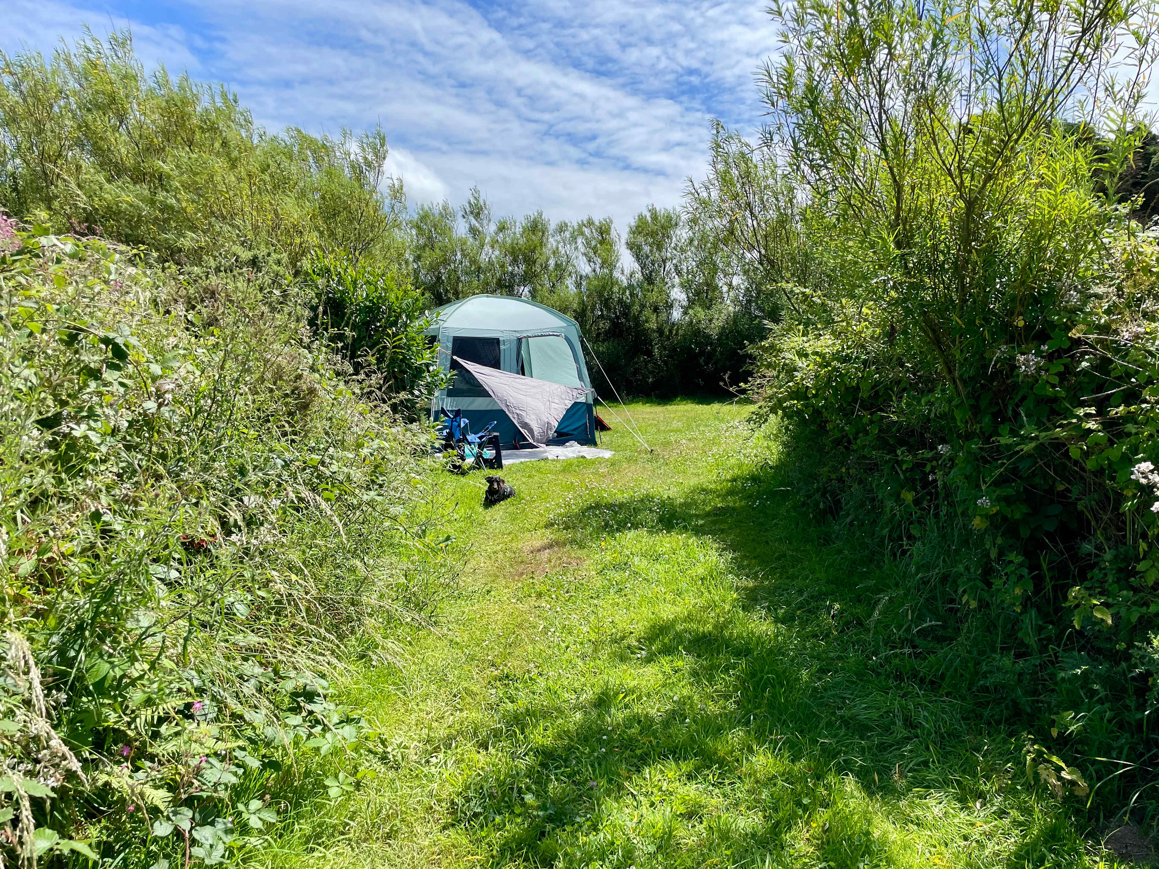 Ar y Mwny Camping Wild Wales