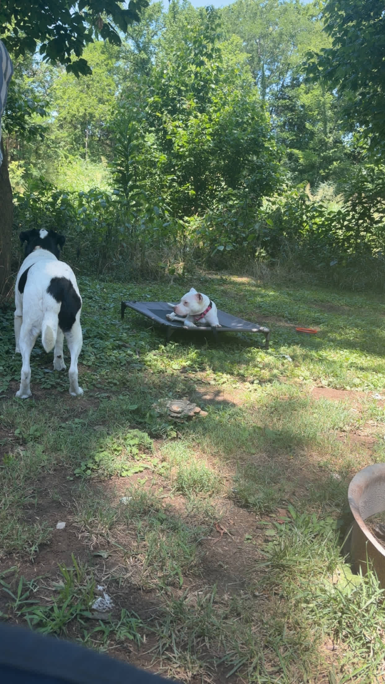 Howlin Hill Campground