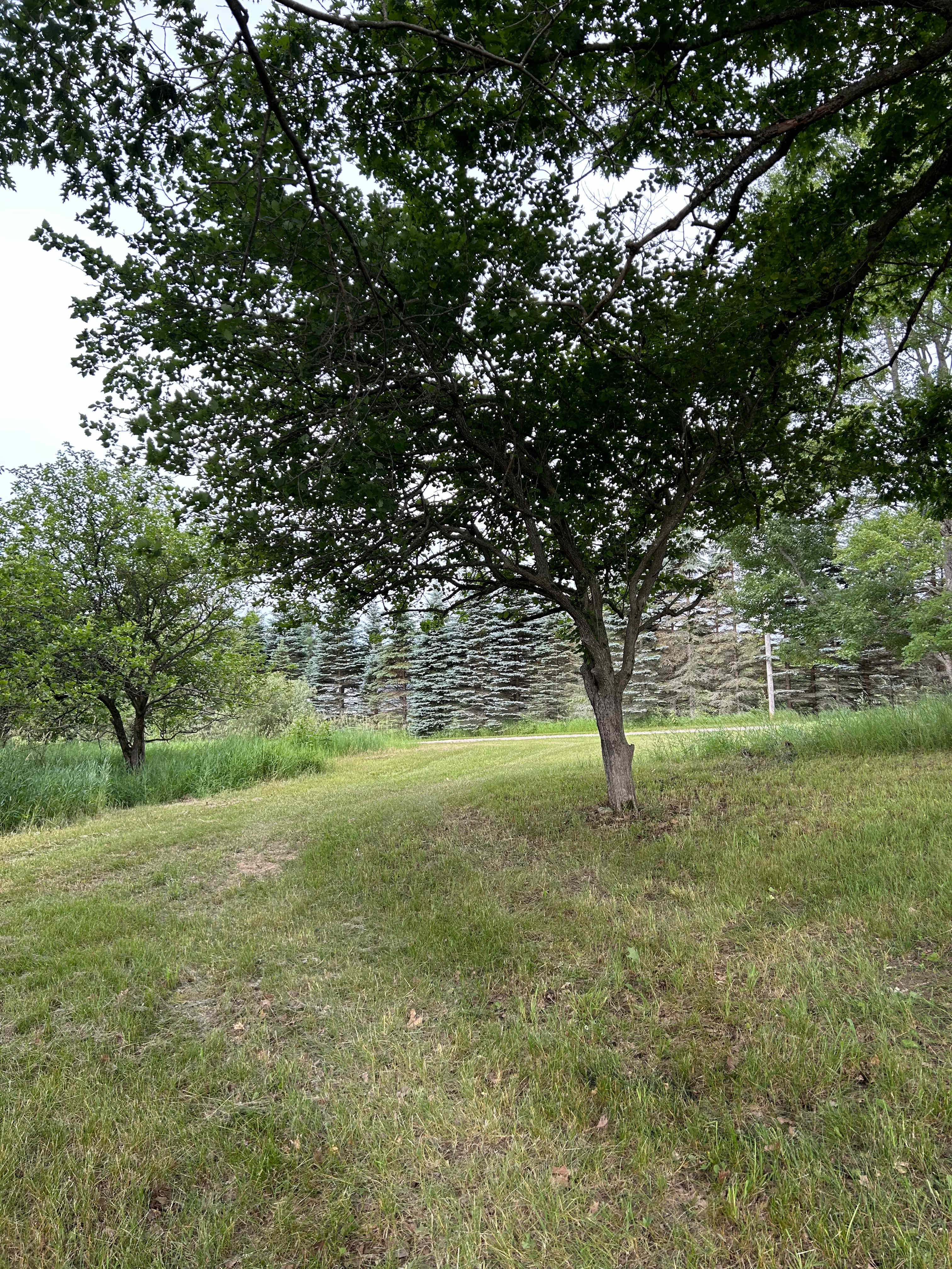 Green Acres