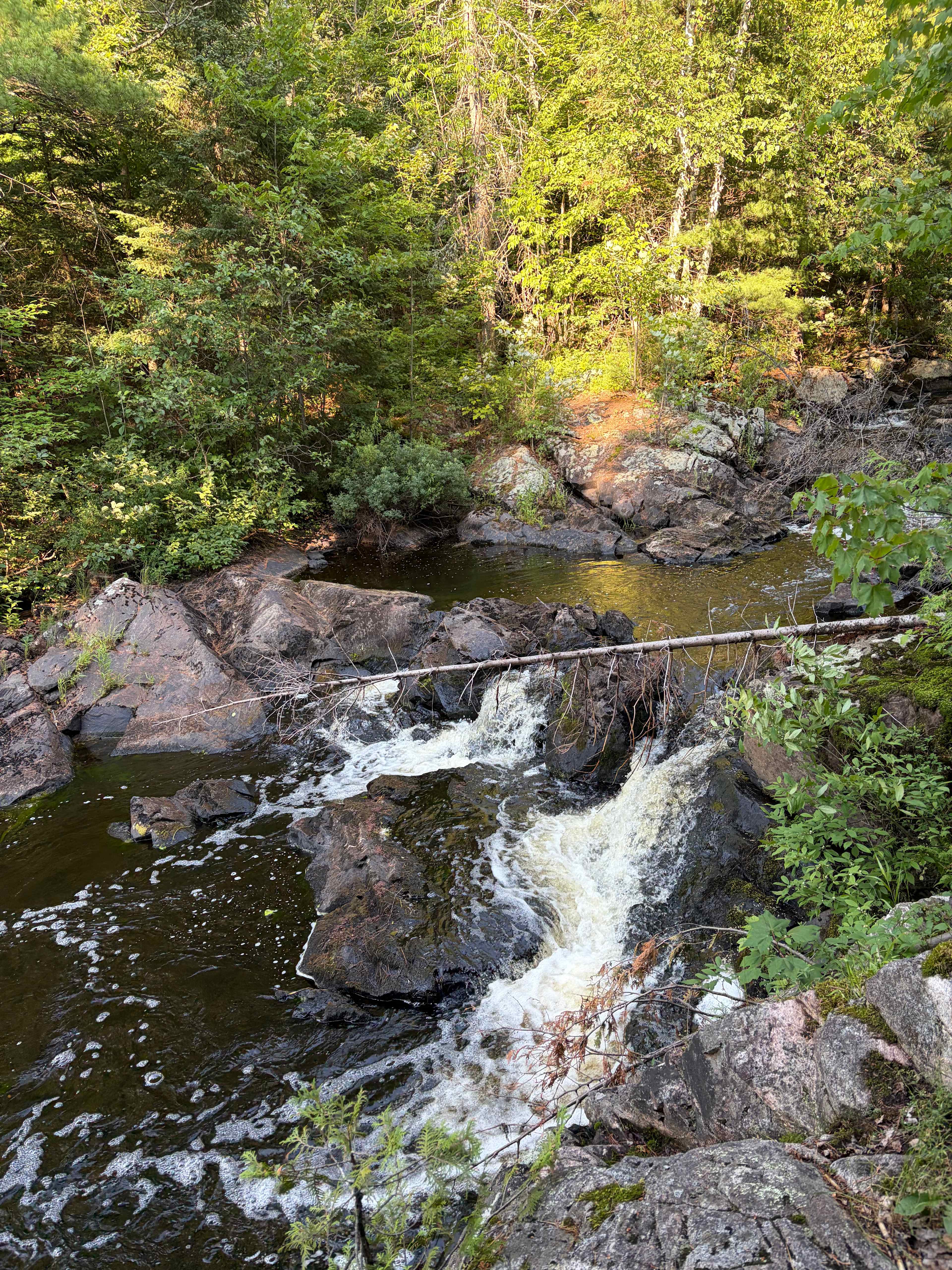 Bad River Wilderness