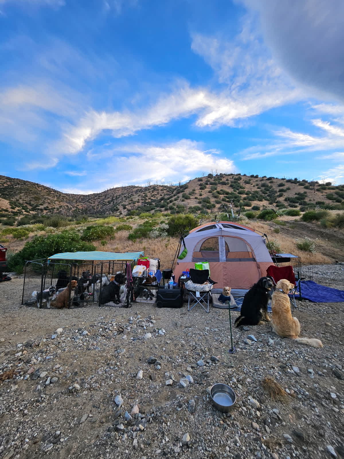 Picture of the site