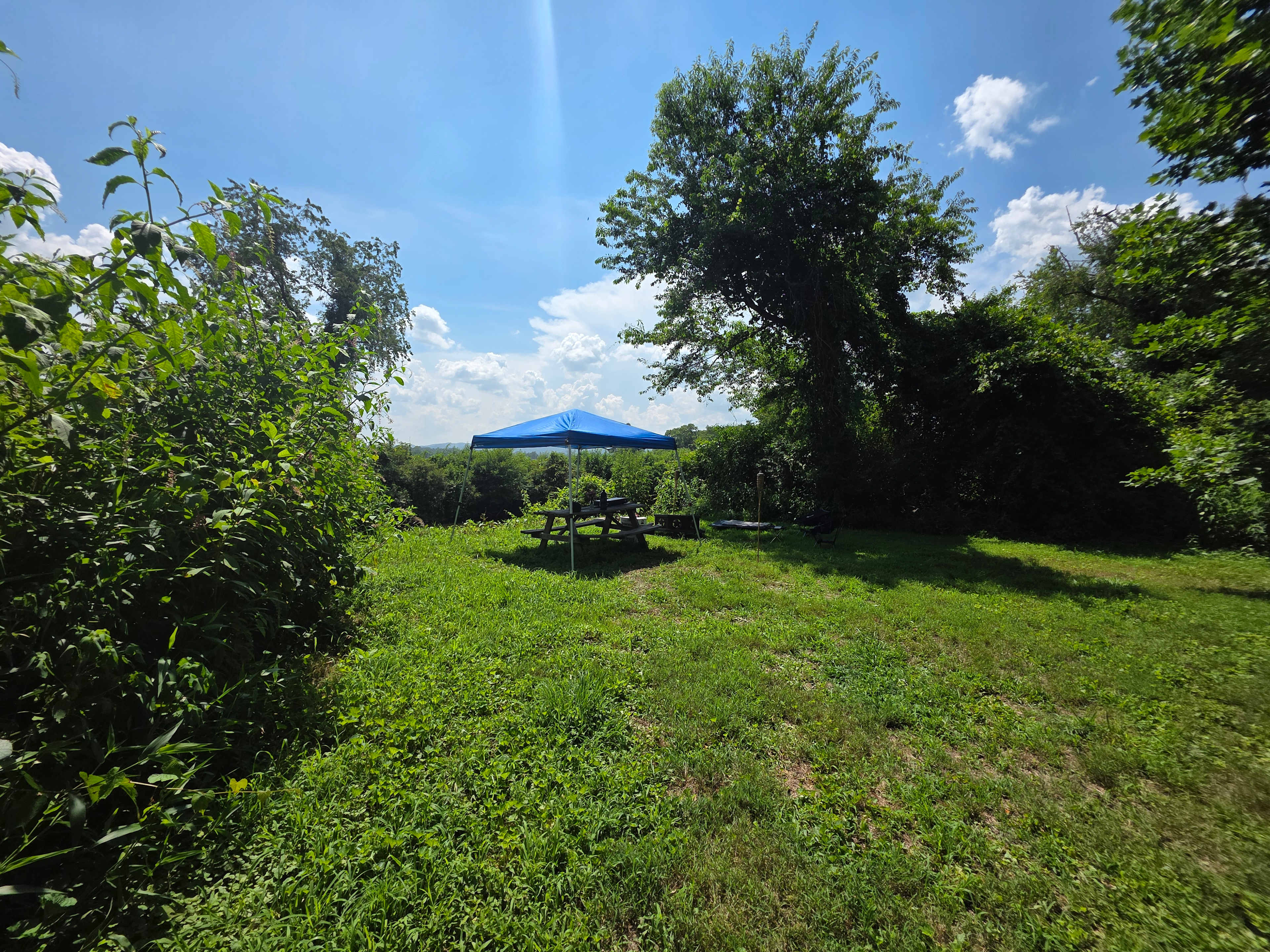 Pisgah Riverbend