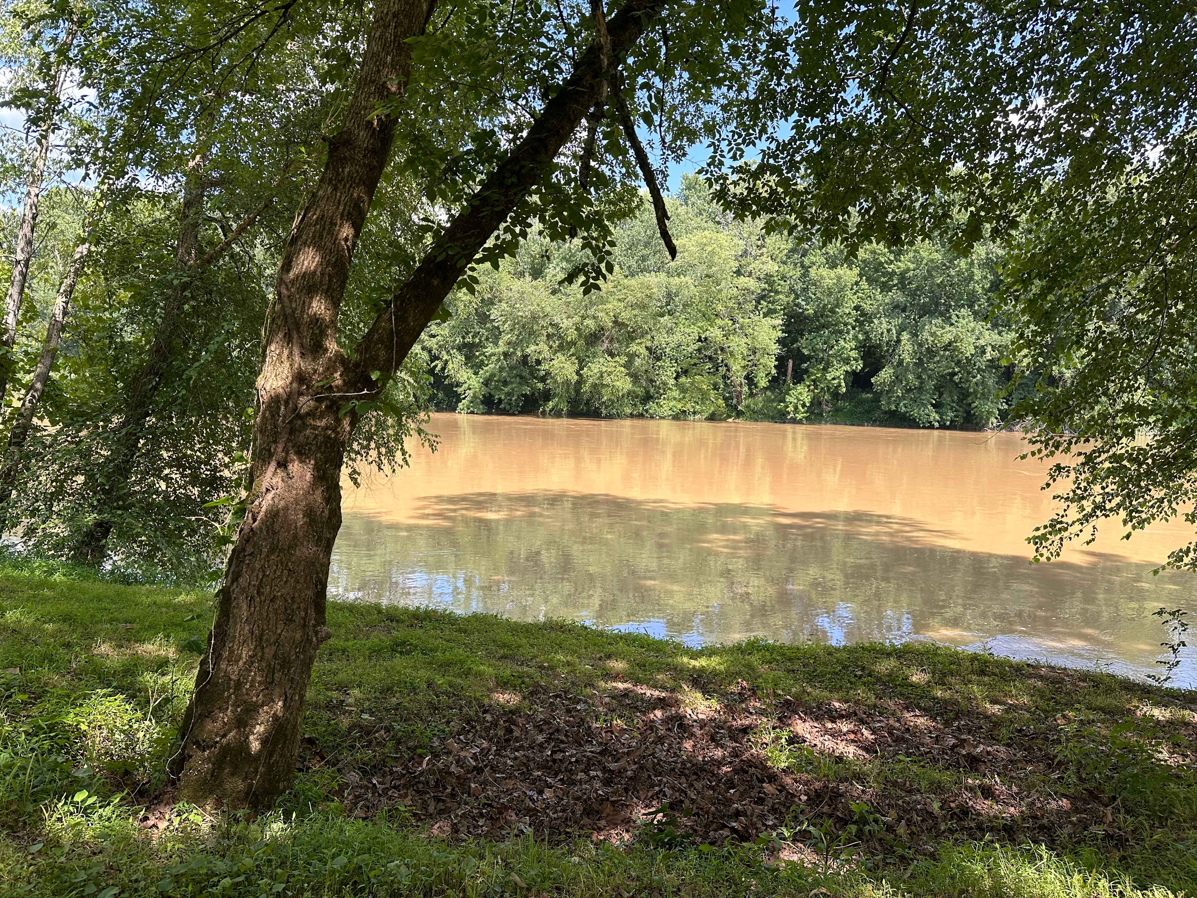 Patrick's Point River Camp