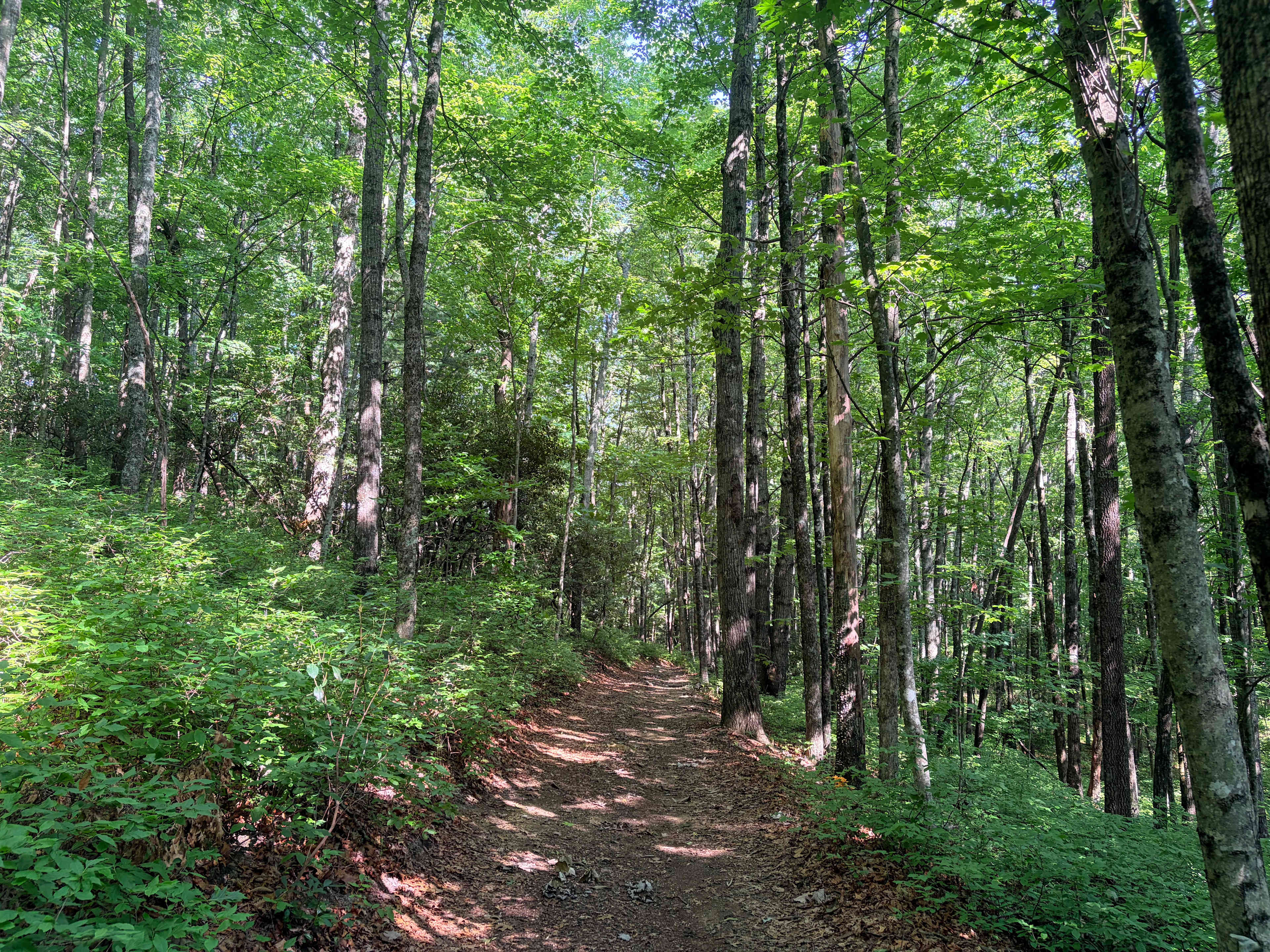 Indian Creek Rental's Mountain Camp