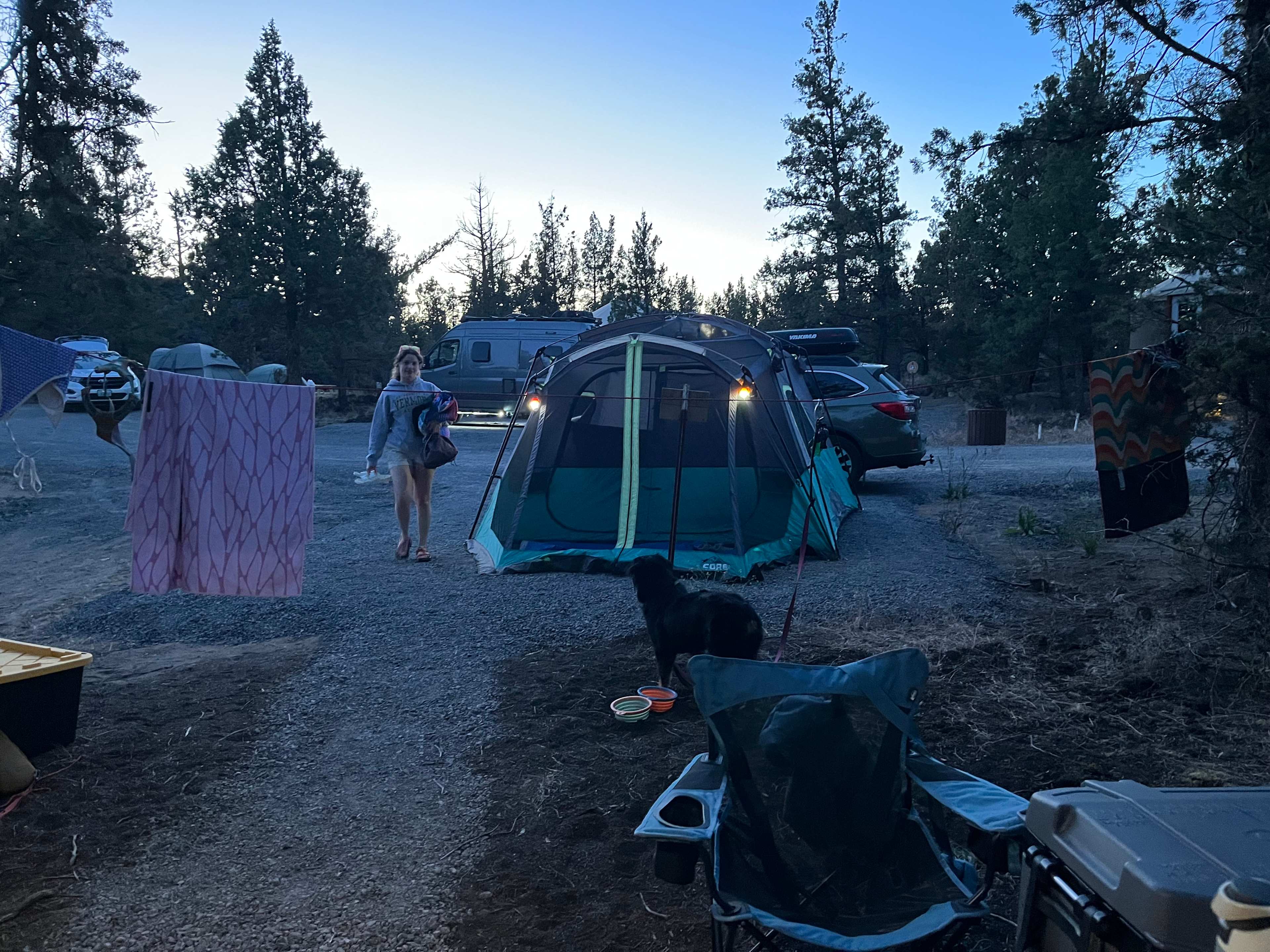 Site 7 from picnic table