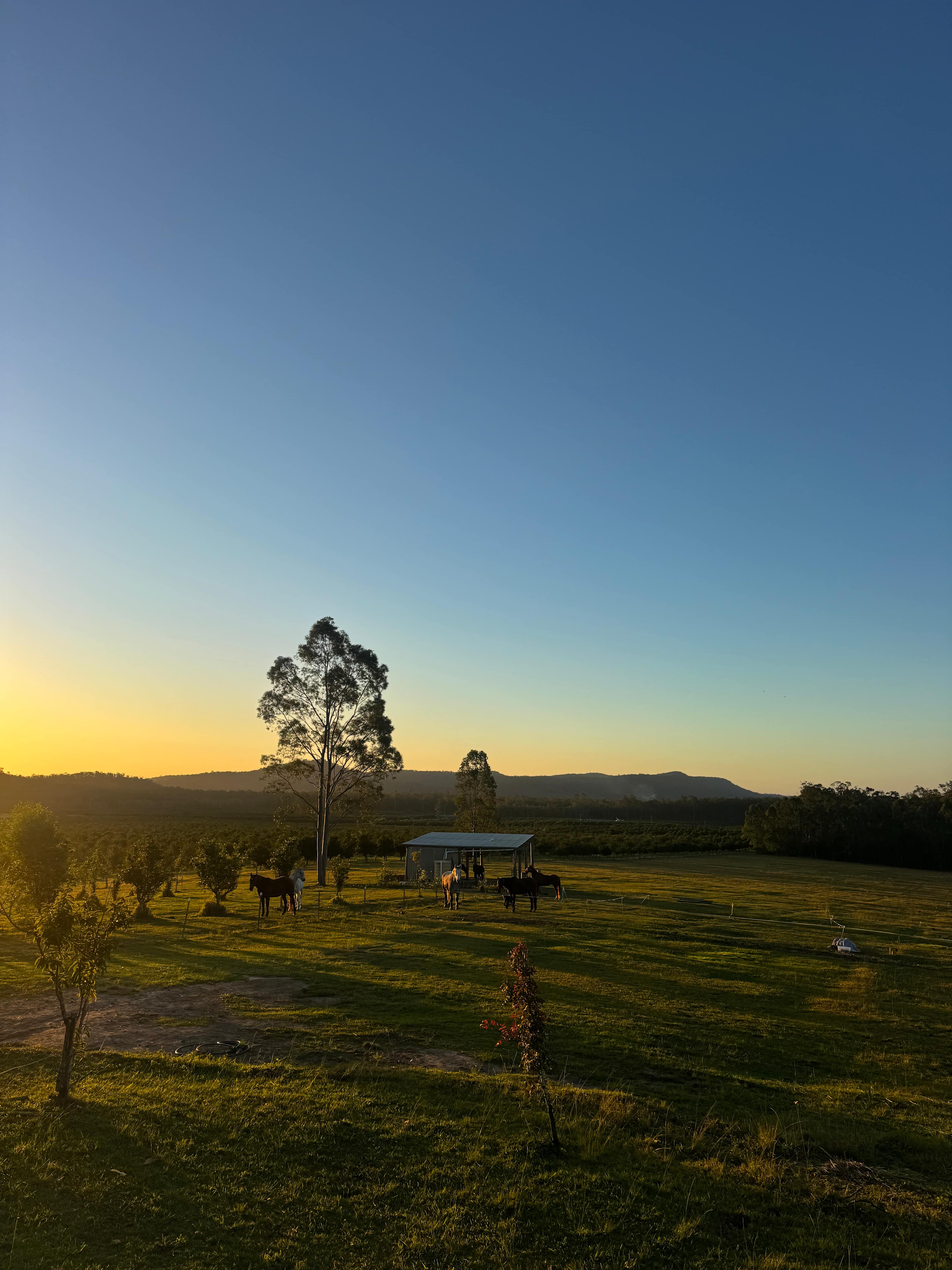 Mororo Hobby Farm