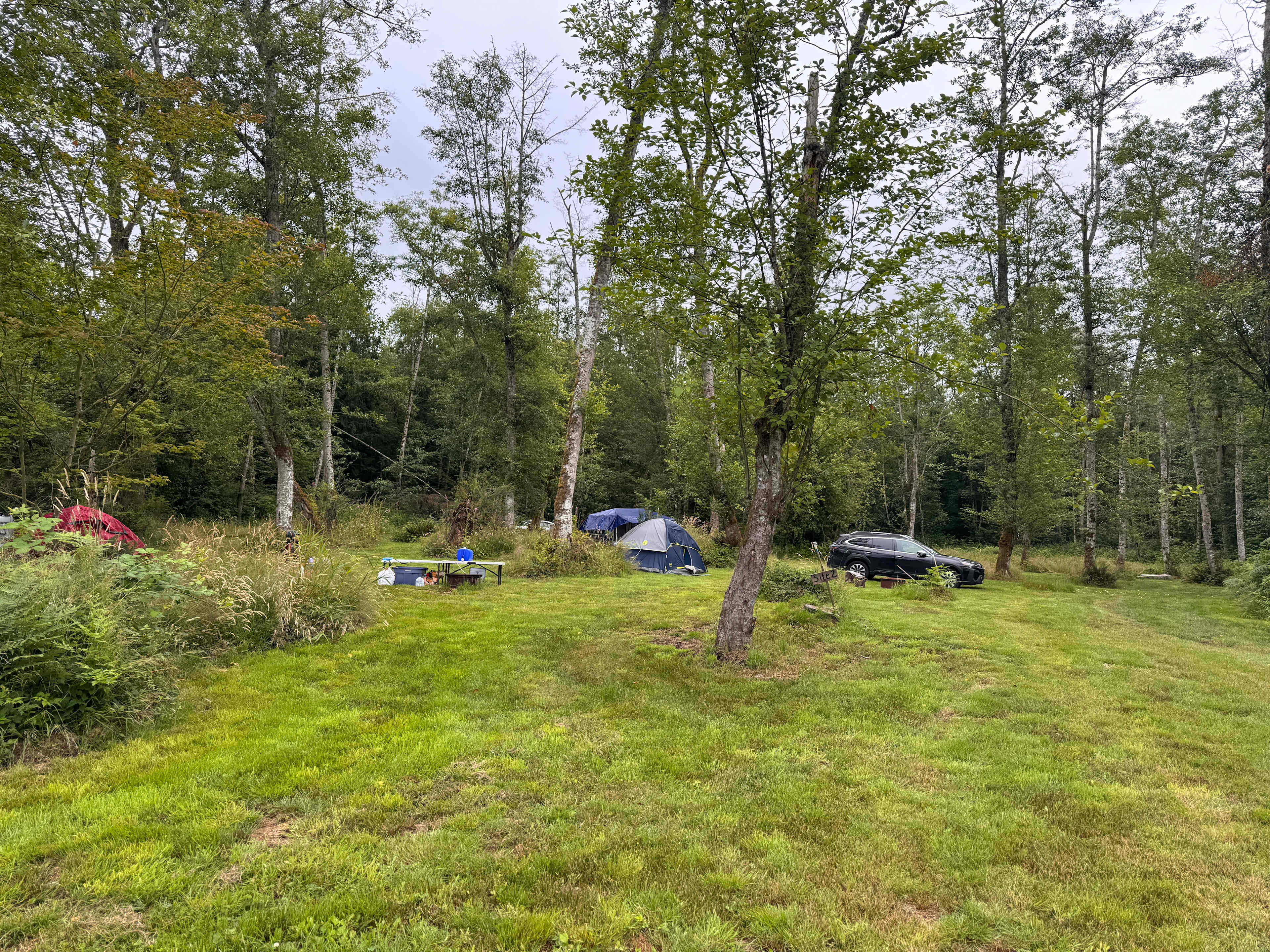 Tent camping!