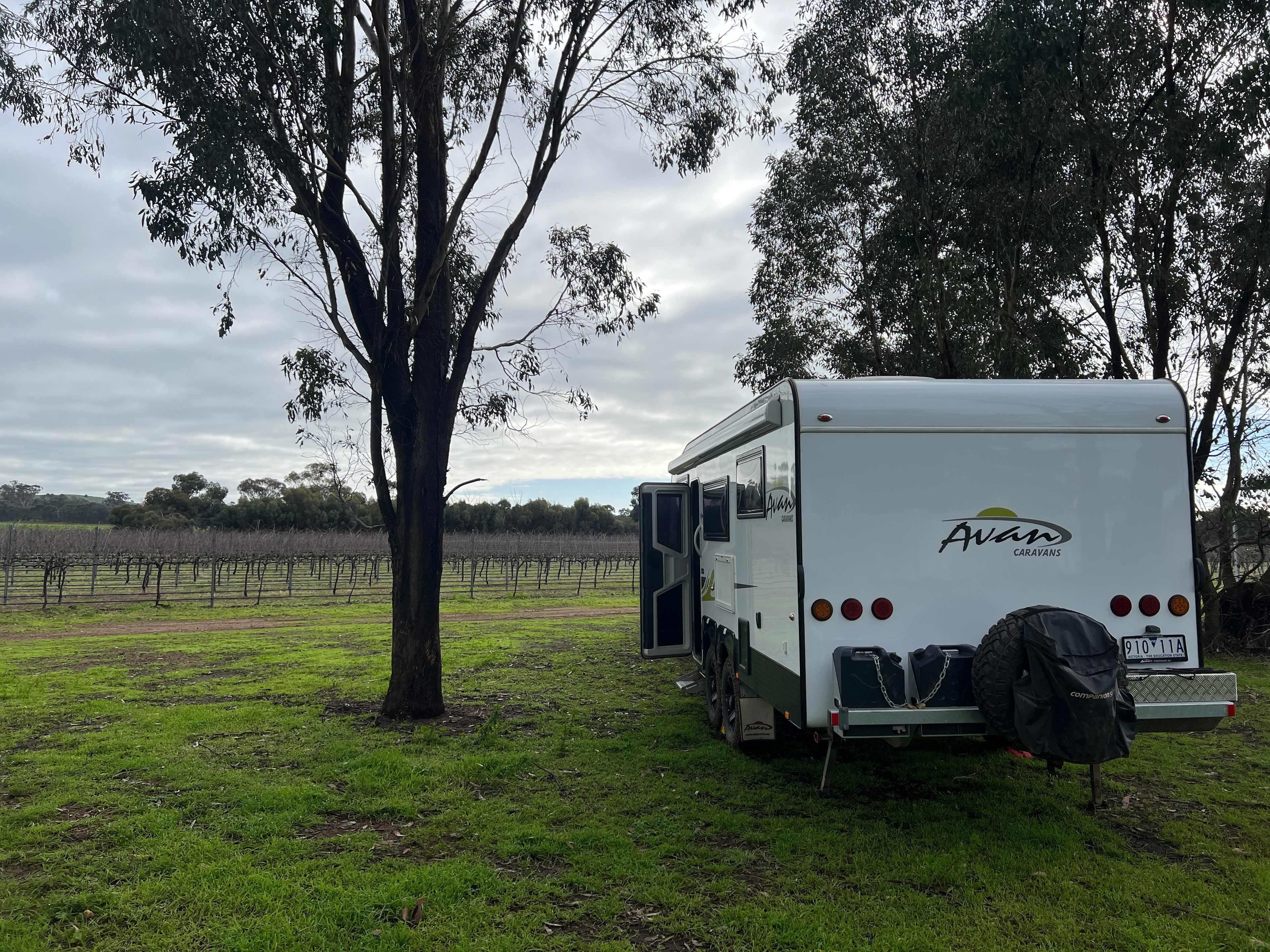 The Shiraz Republic