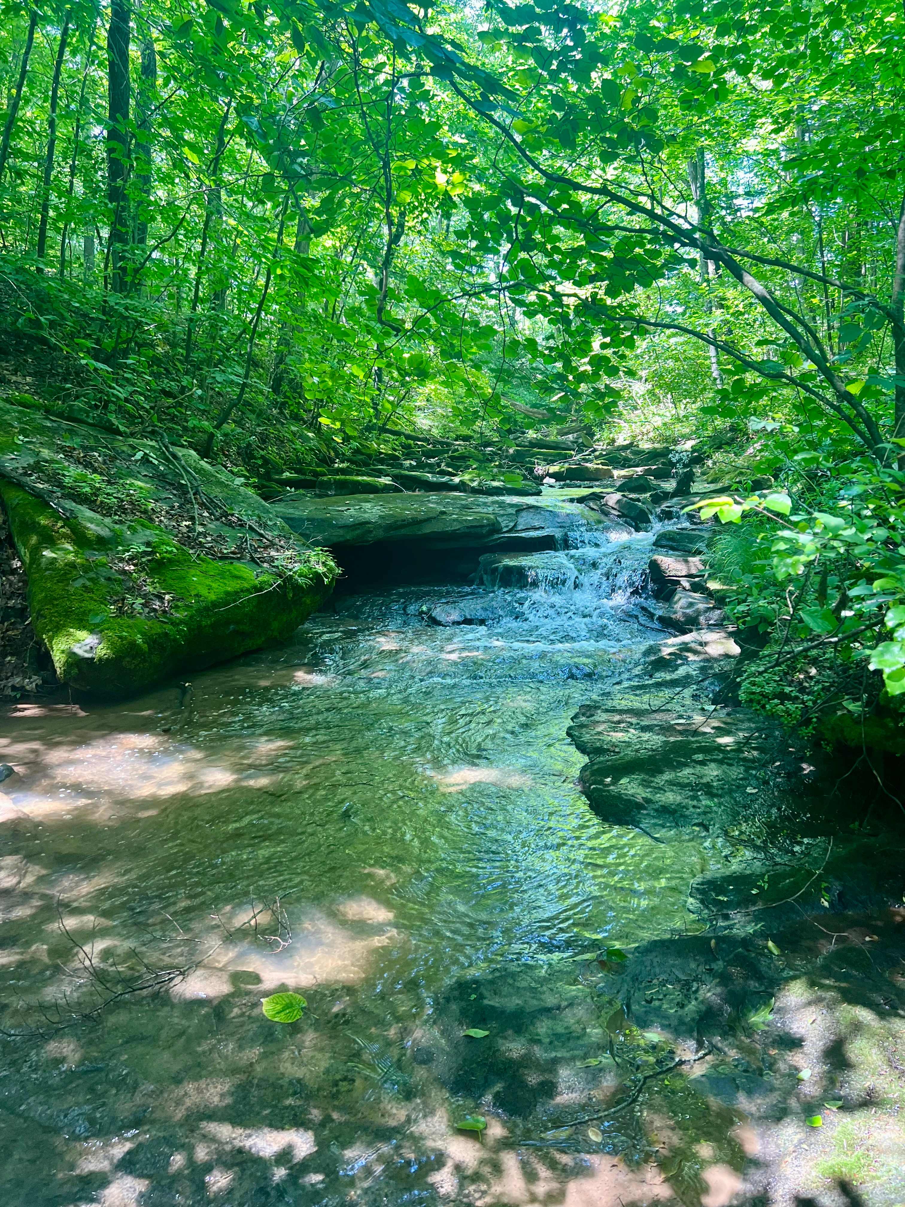 River Hills Above the Allegheny