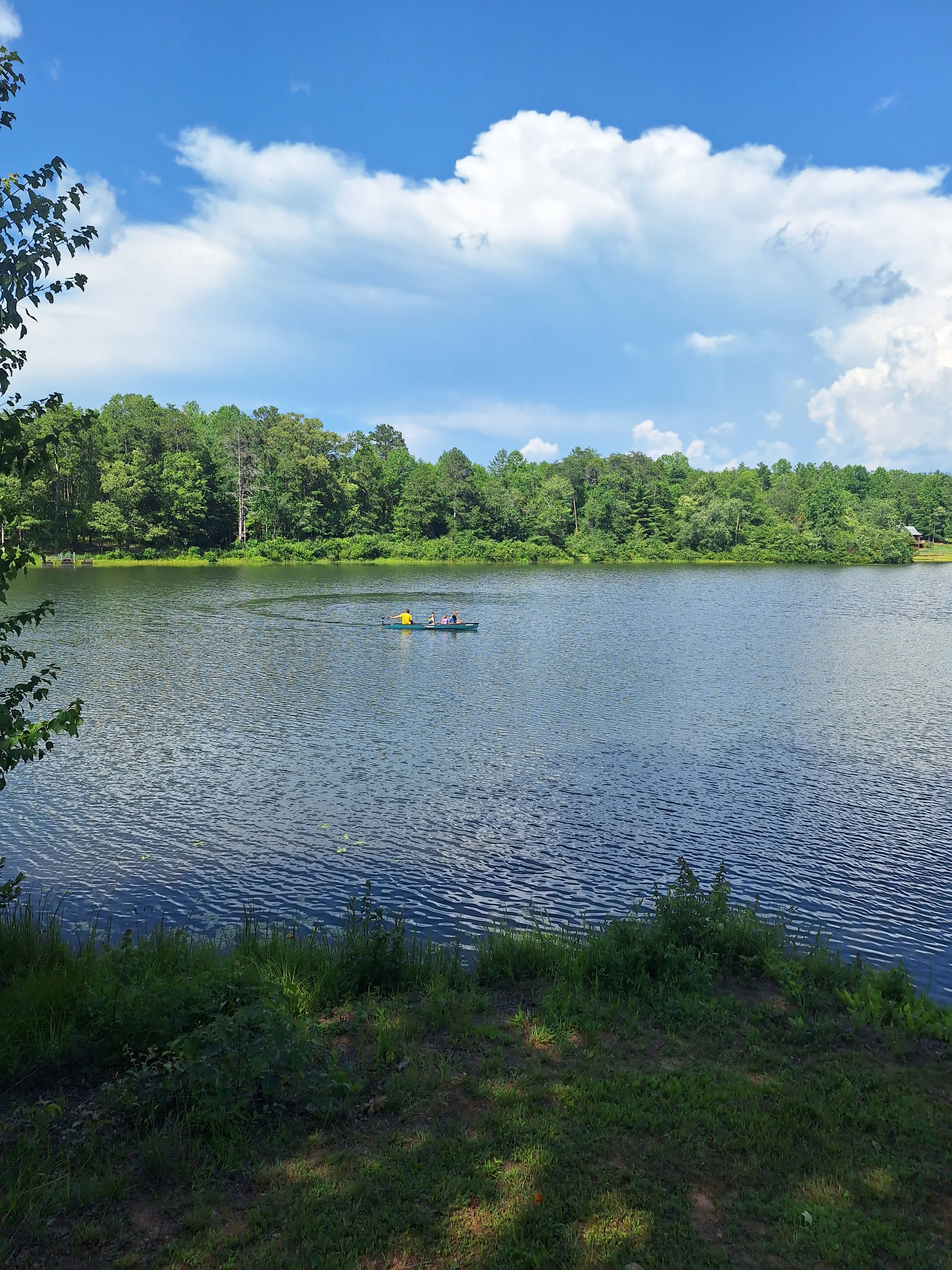 View from the deck