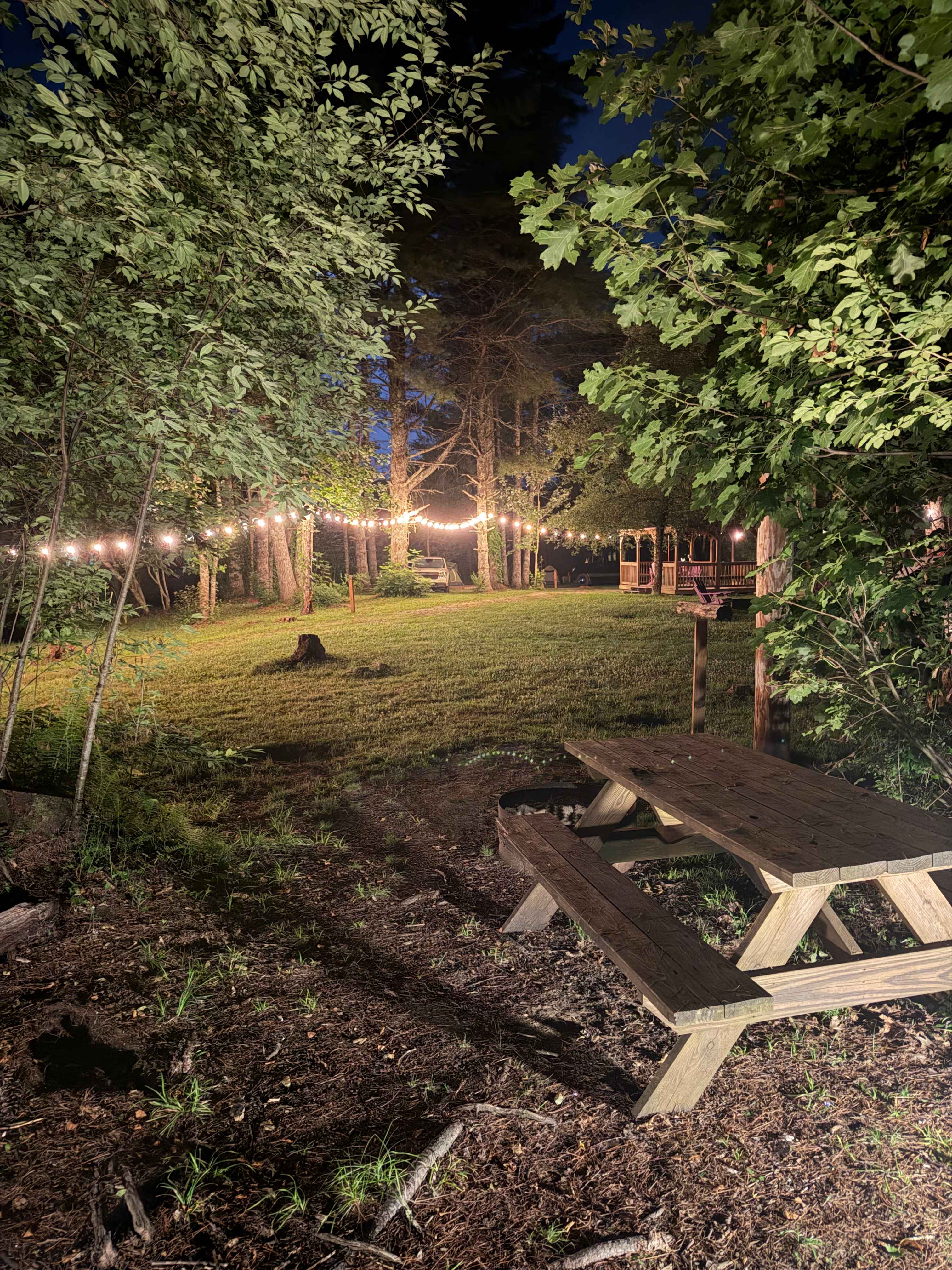 The Pineola - Camp, Lodge, Taproom
