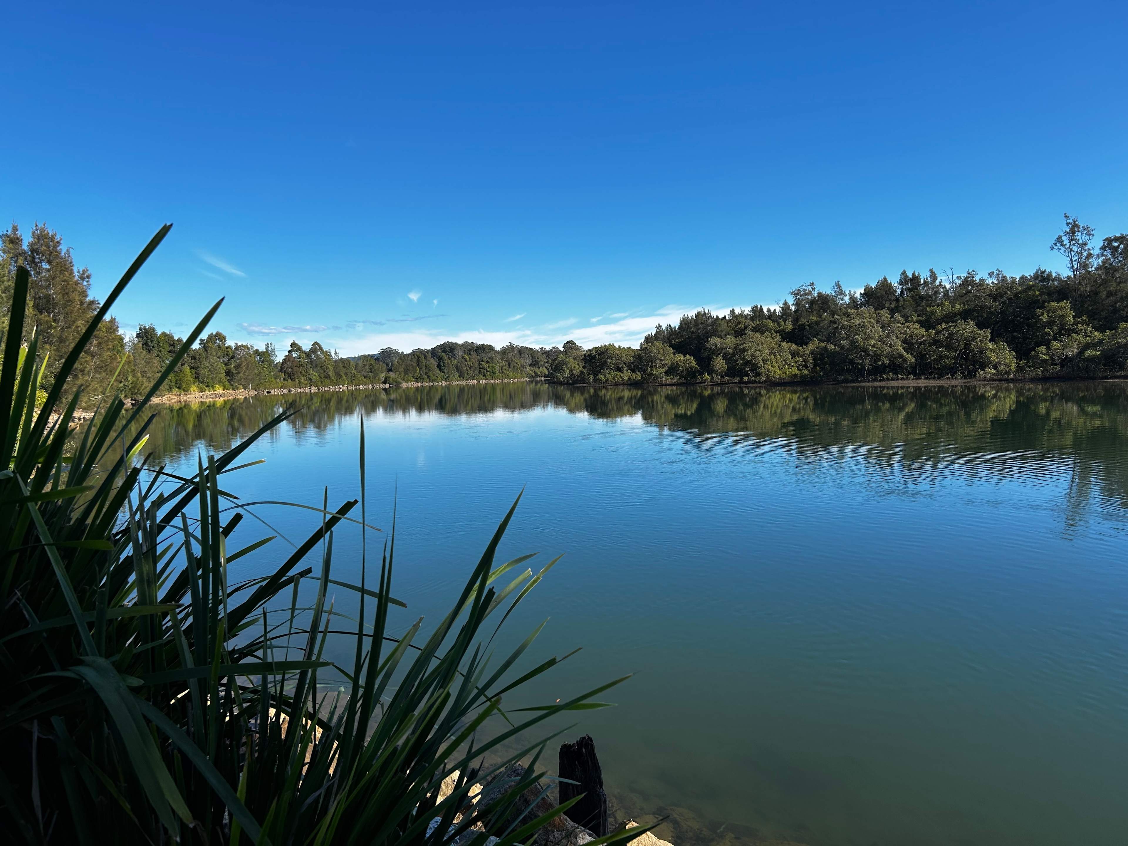 Anchorage Park Urunga