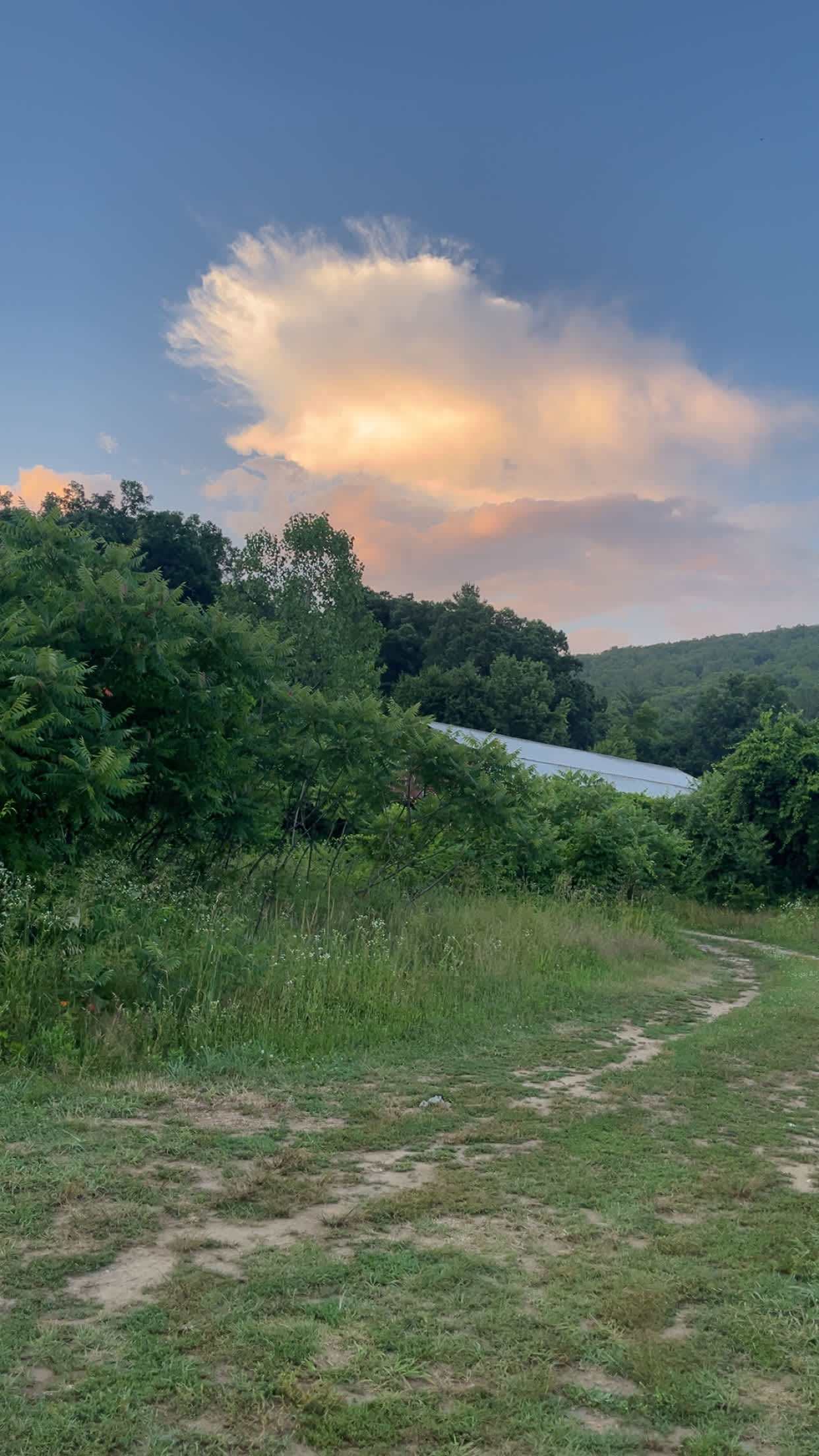 Turtle Bend Farm