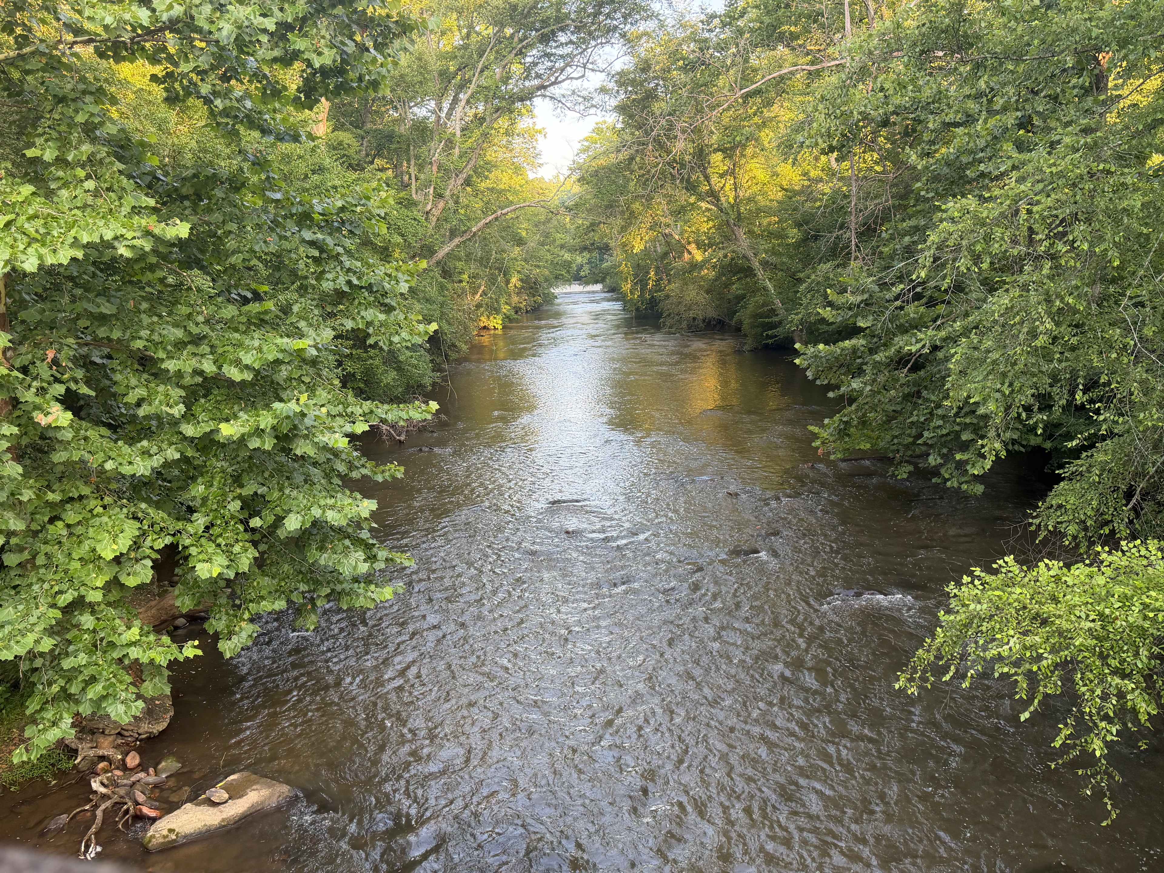 Jessup Mill