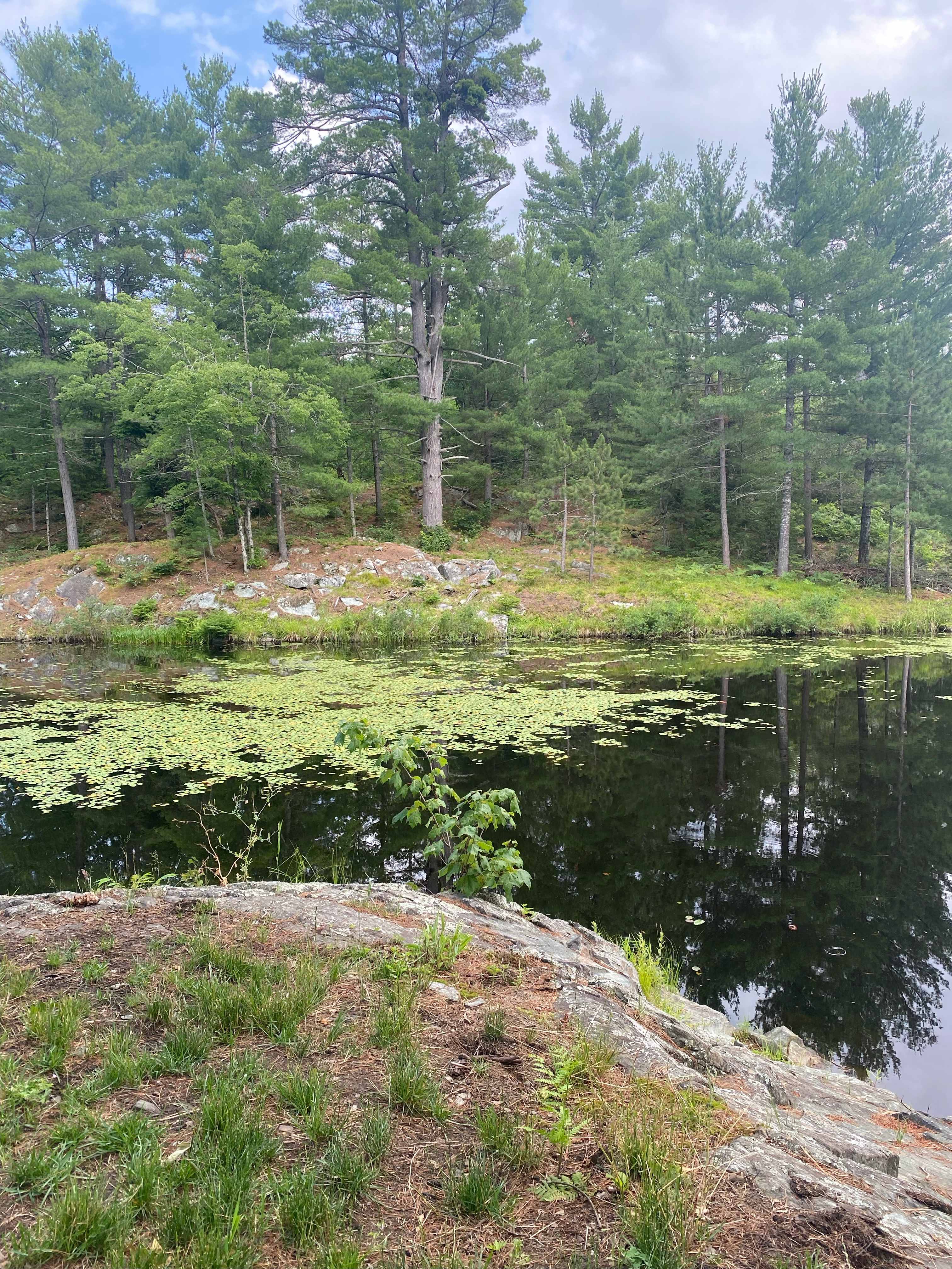 Hemlock Point Campground