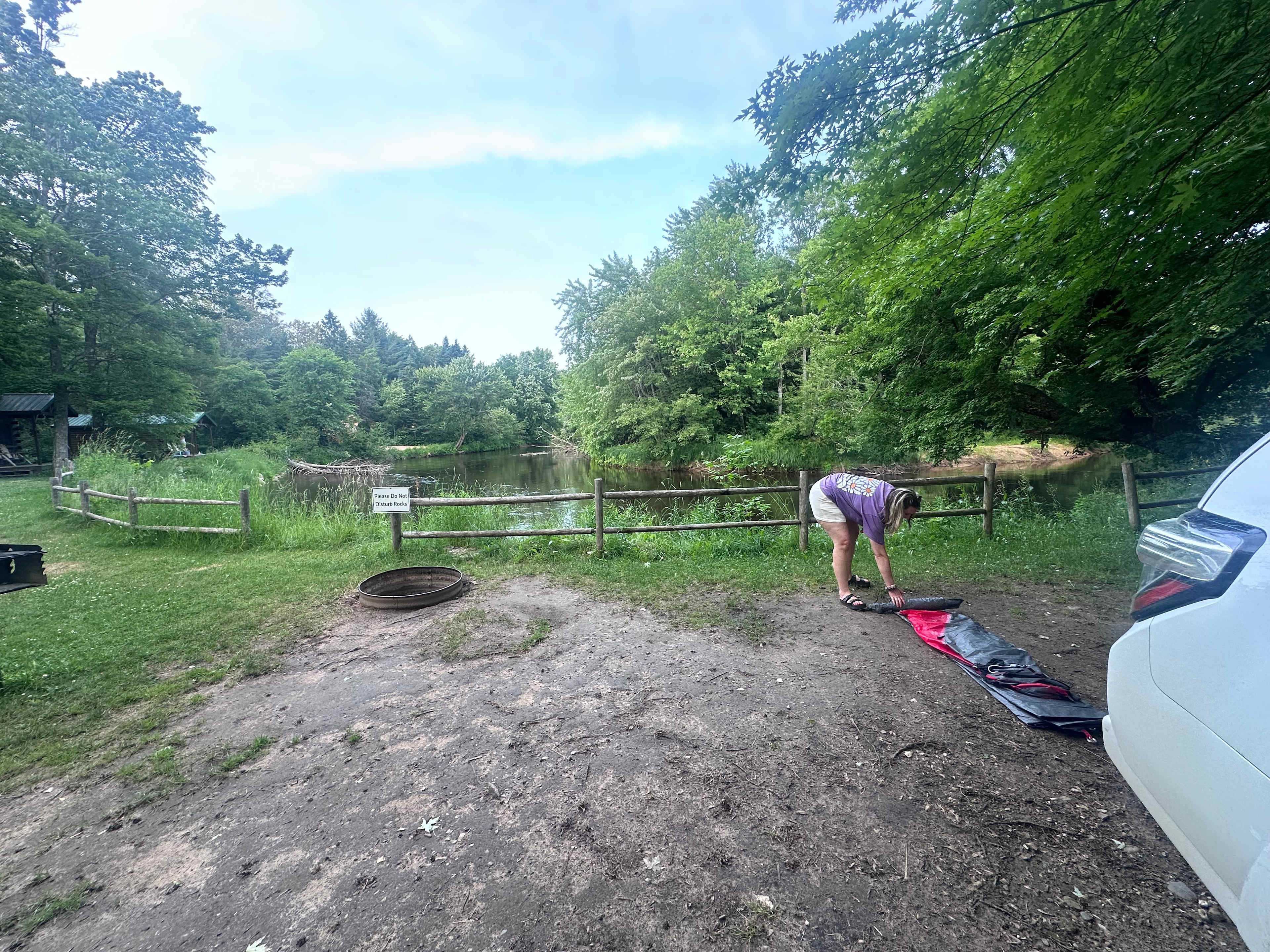Picture of the site