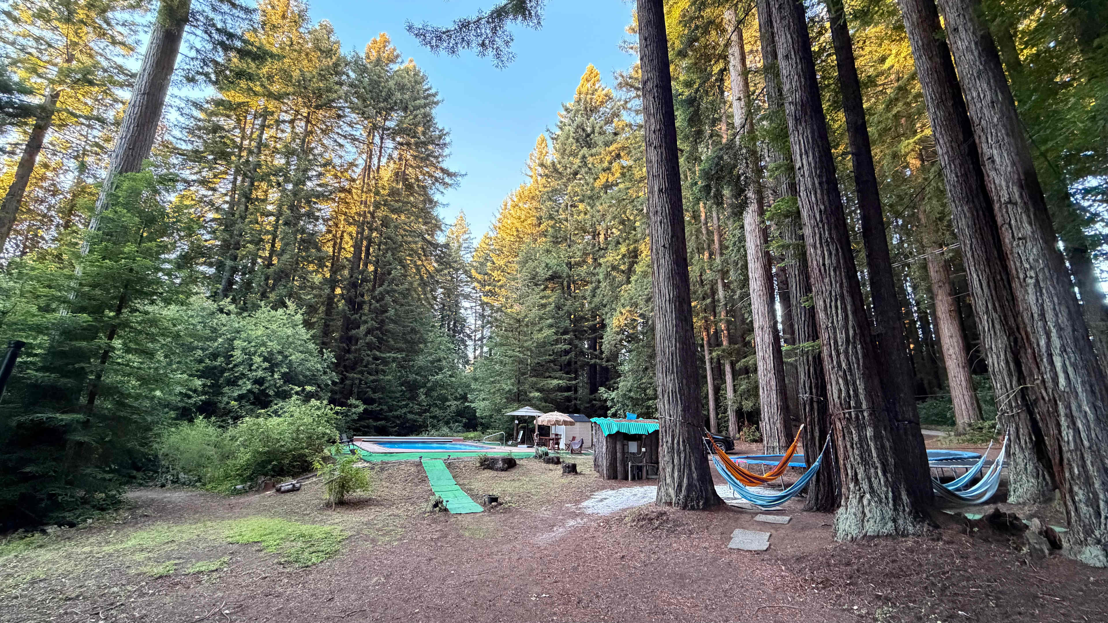 Redwood Paradise Camping
