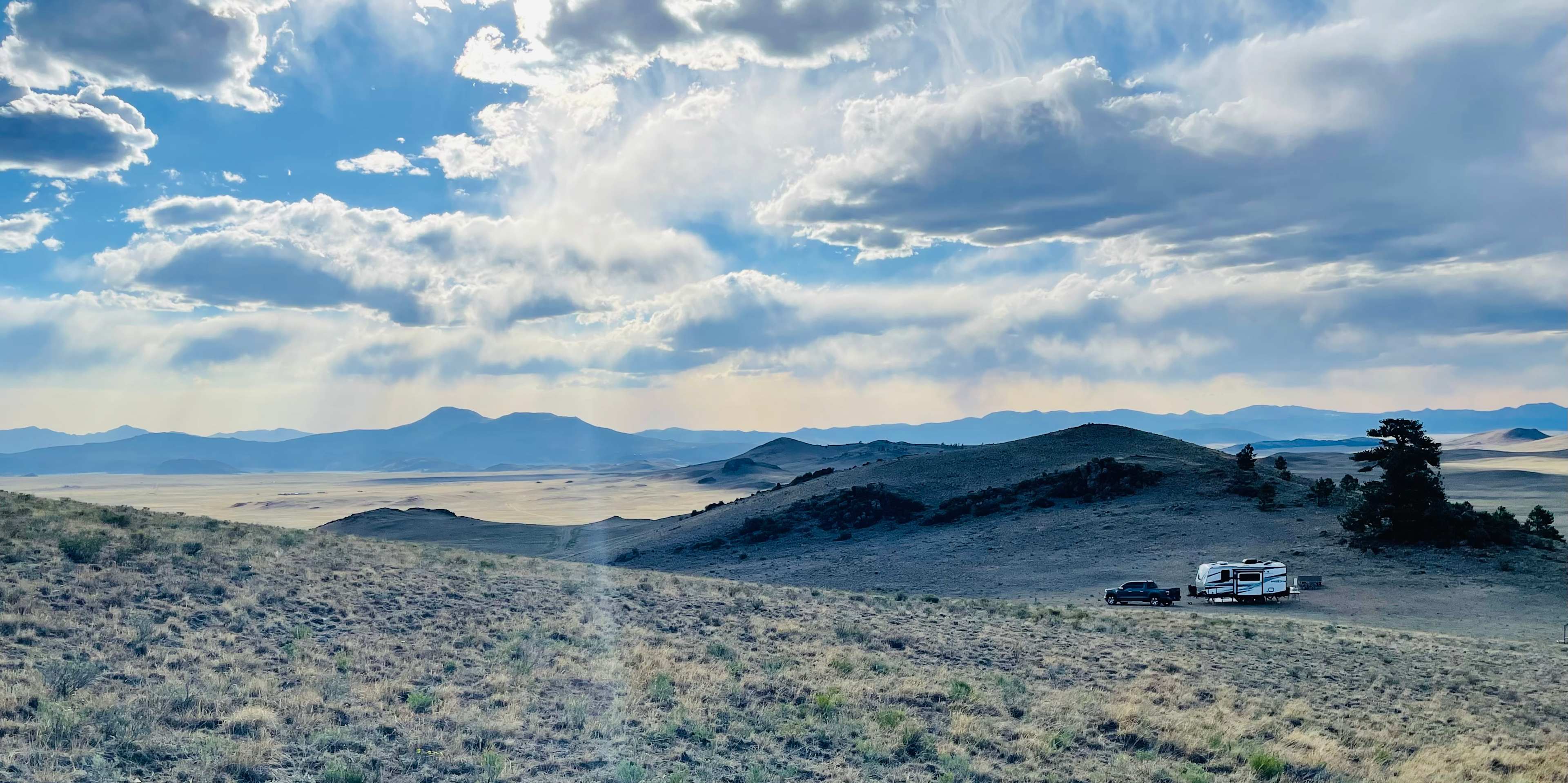 Pronghorn Oasis