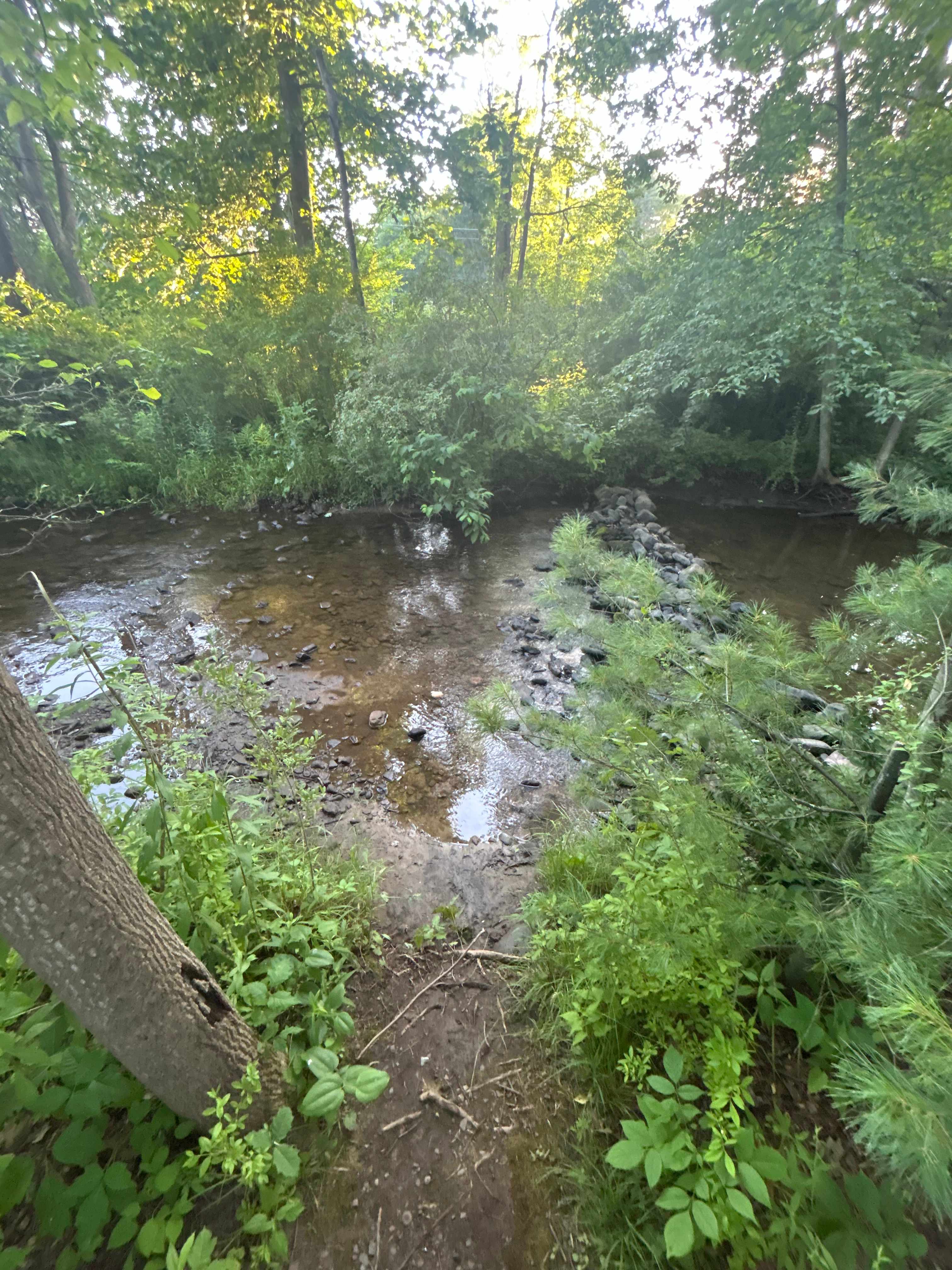 Stream access at site 30