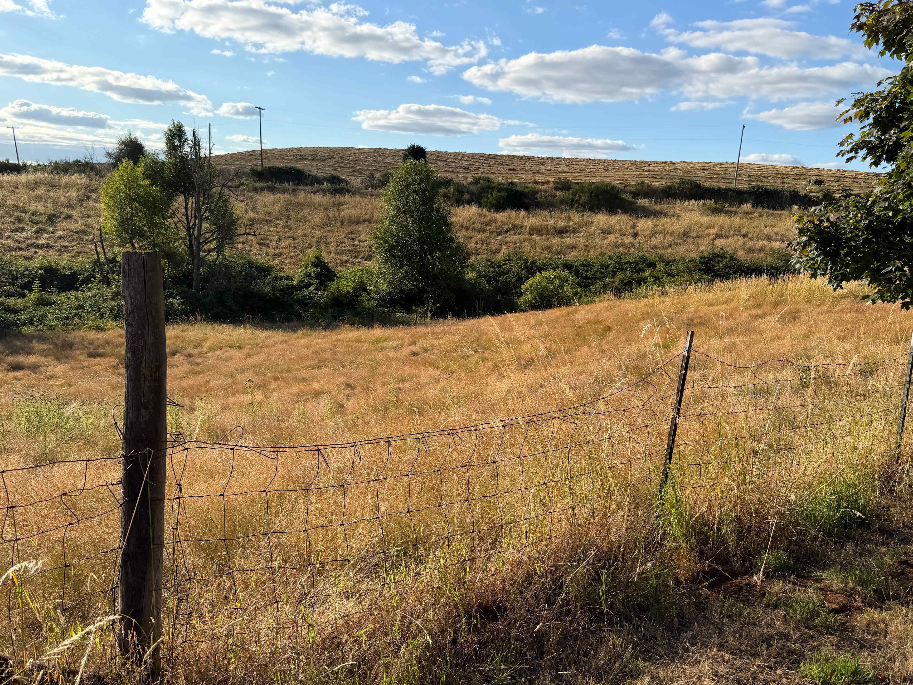 GeerCrest Farm