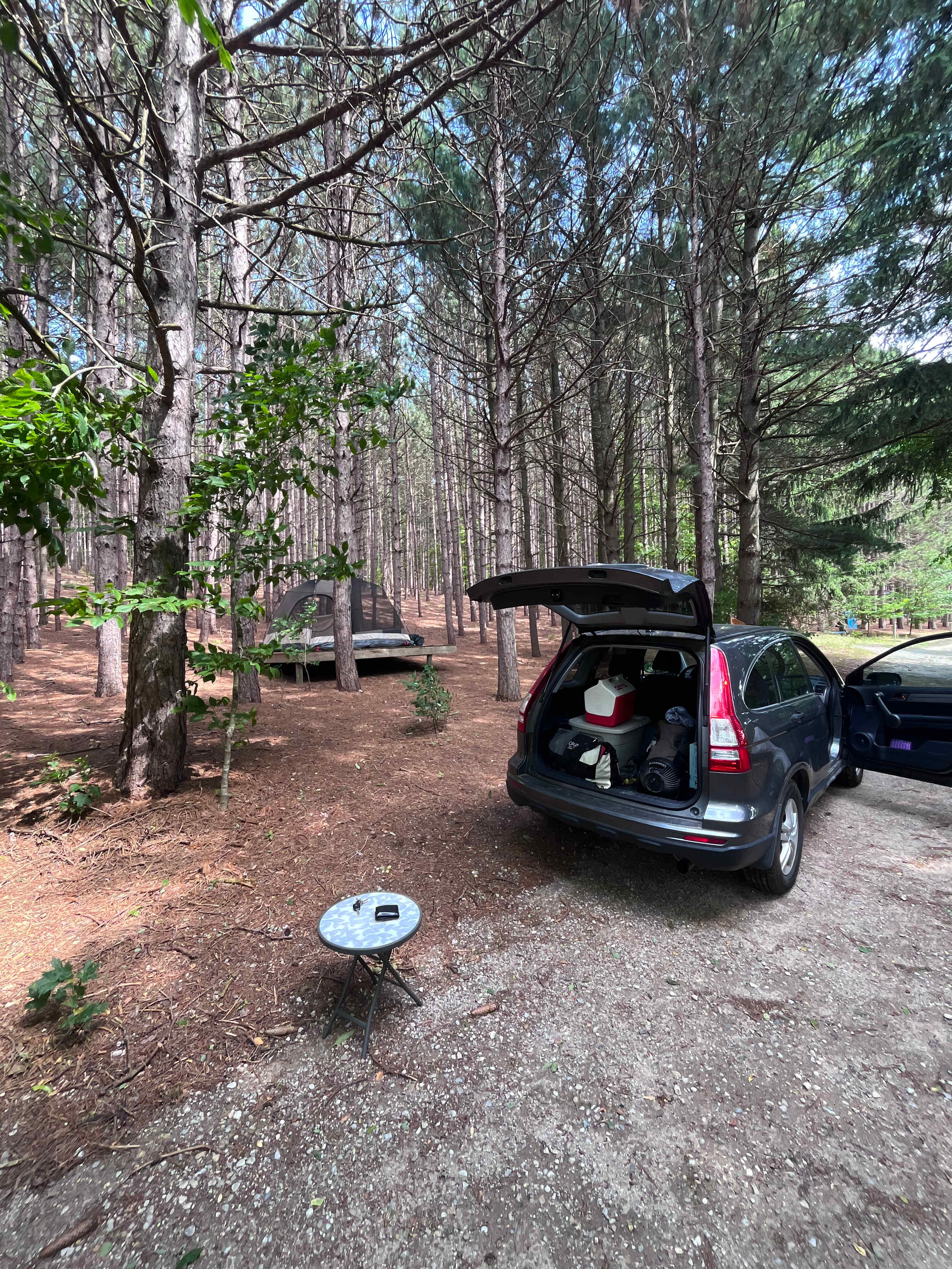 Camp Moonshadow