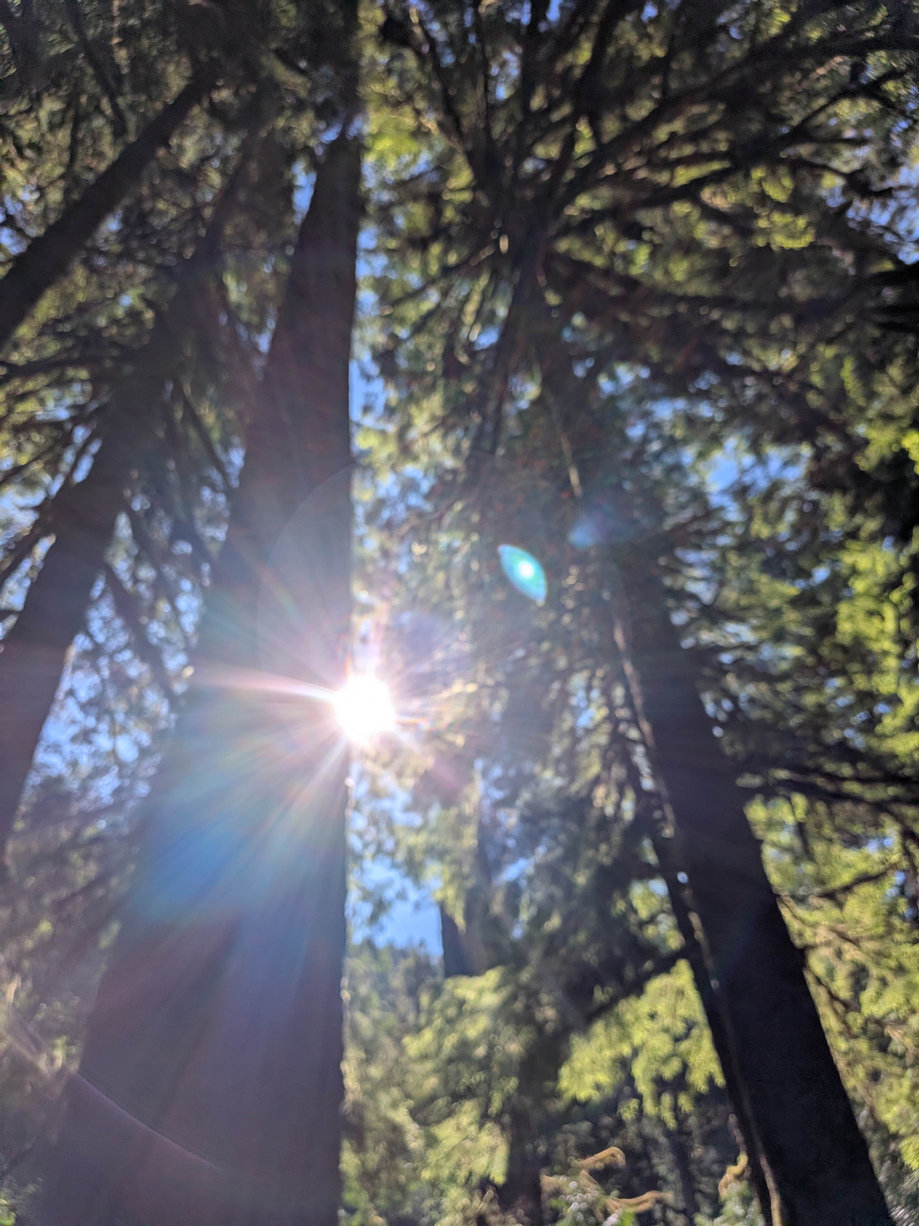 Old Salmon River Trail, a 10 minute drive from the camp