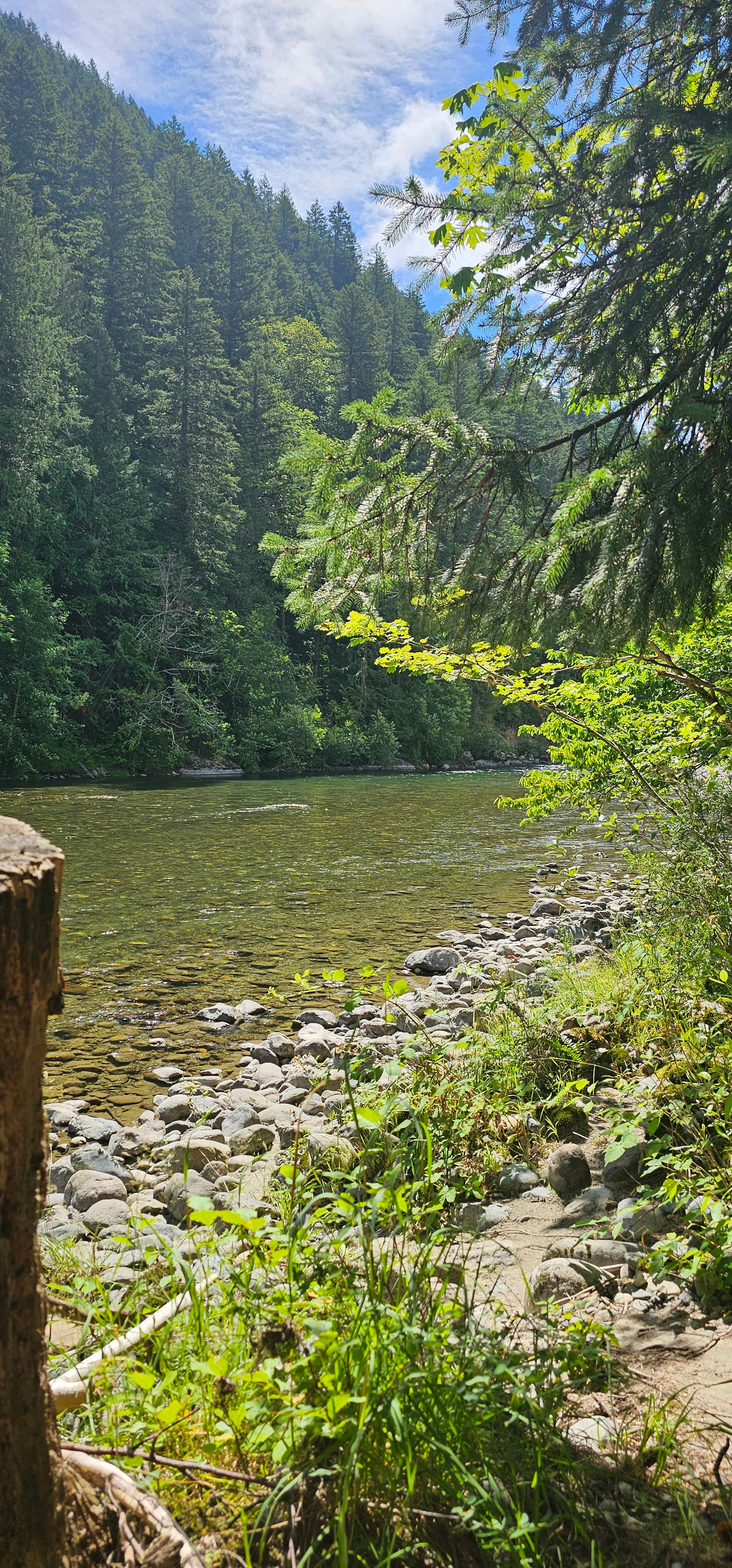 Forested with River Access/Firepit