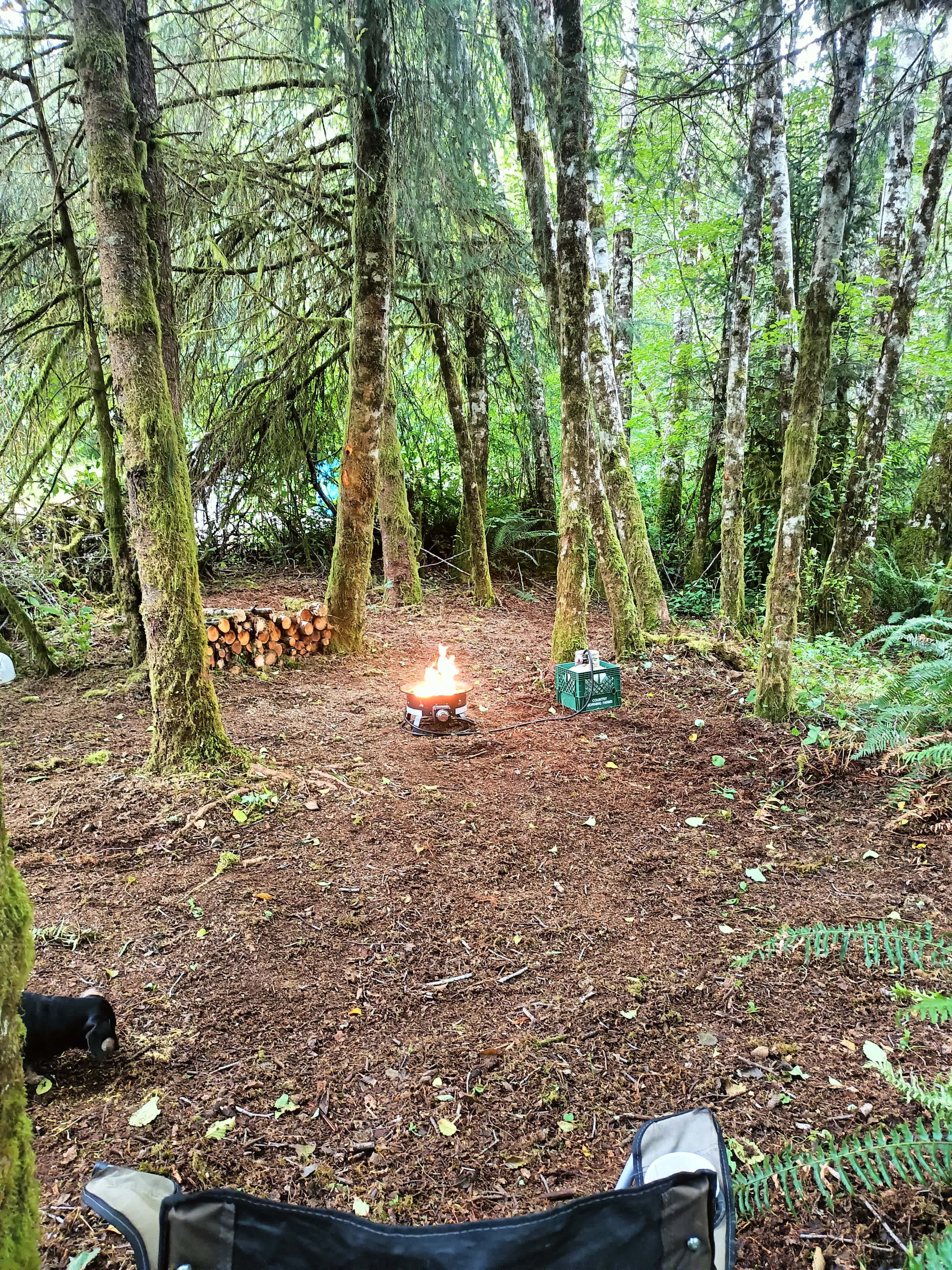 Picture of the site